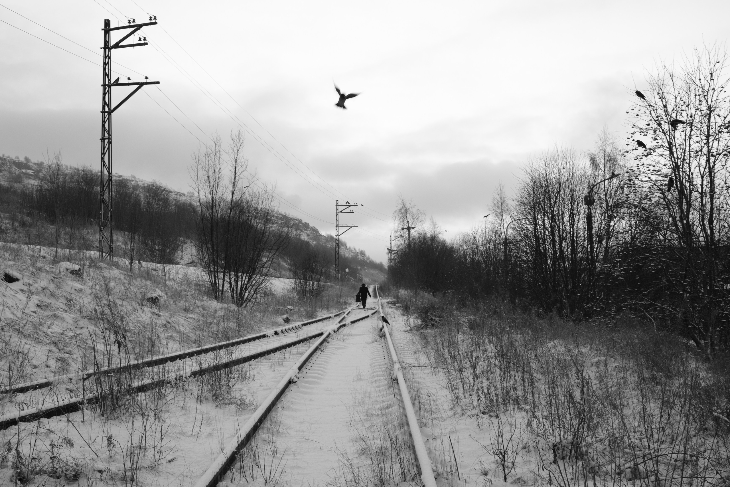 Стрит. Портретный фотограф Виктор Льерена