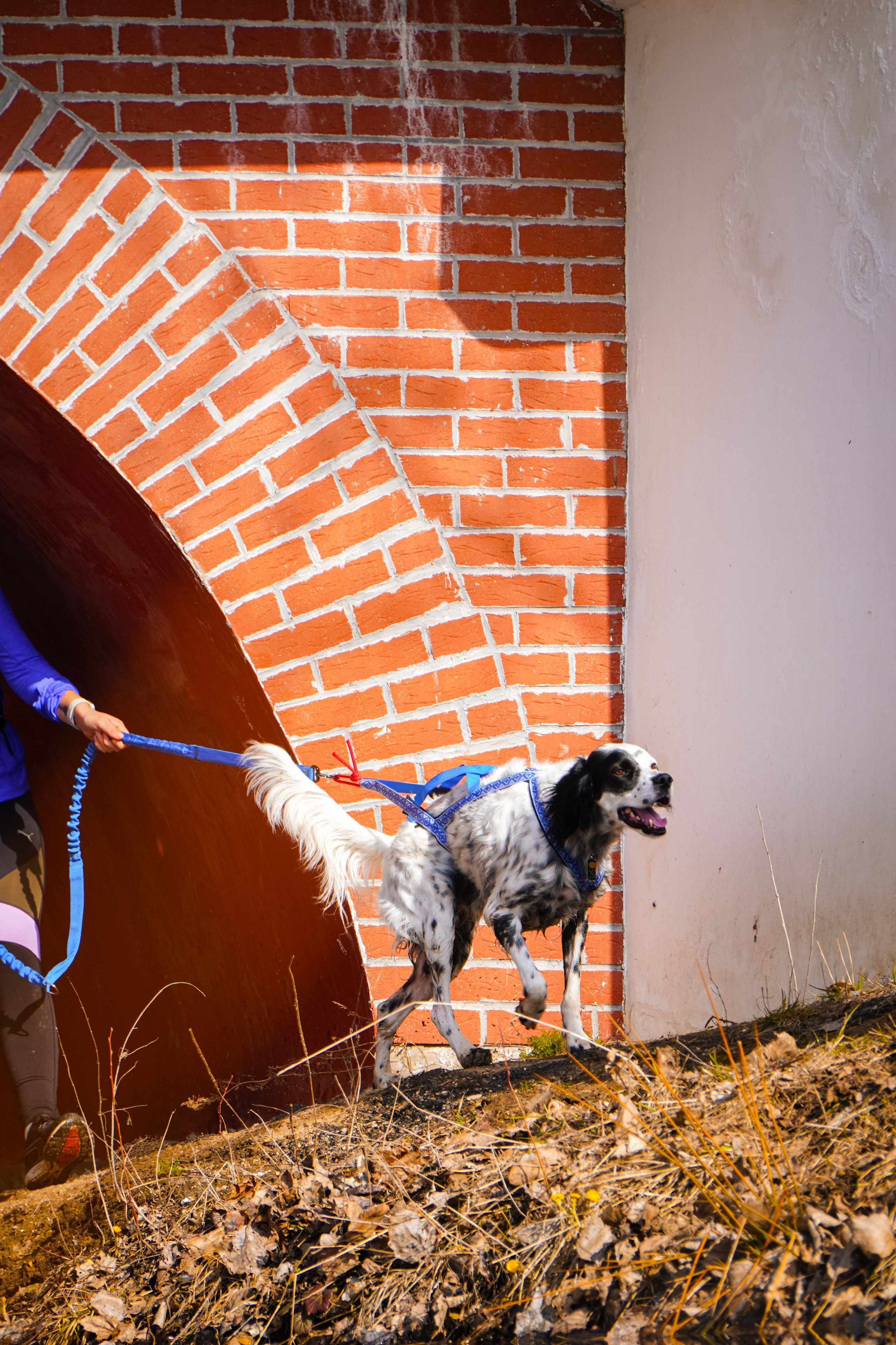 Капибара Кусково & RHR. Роман Капилюшов. Бег. Фото. Видео. г. Люберцы