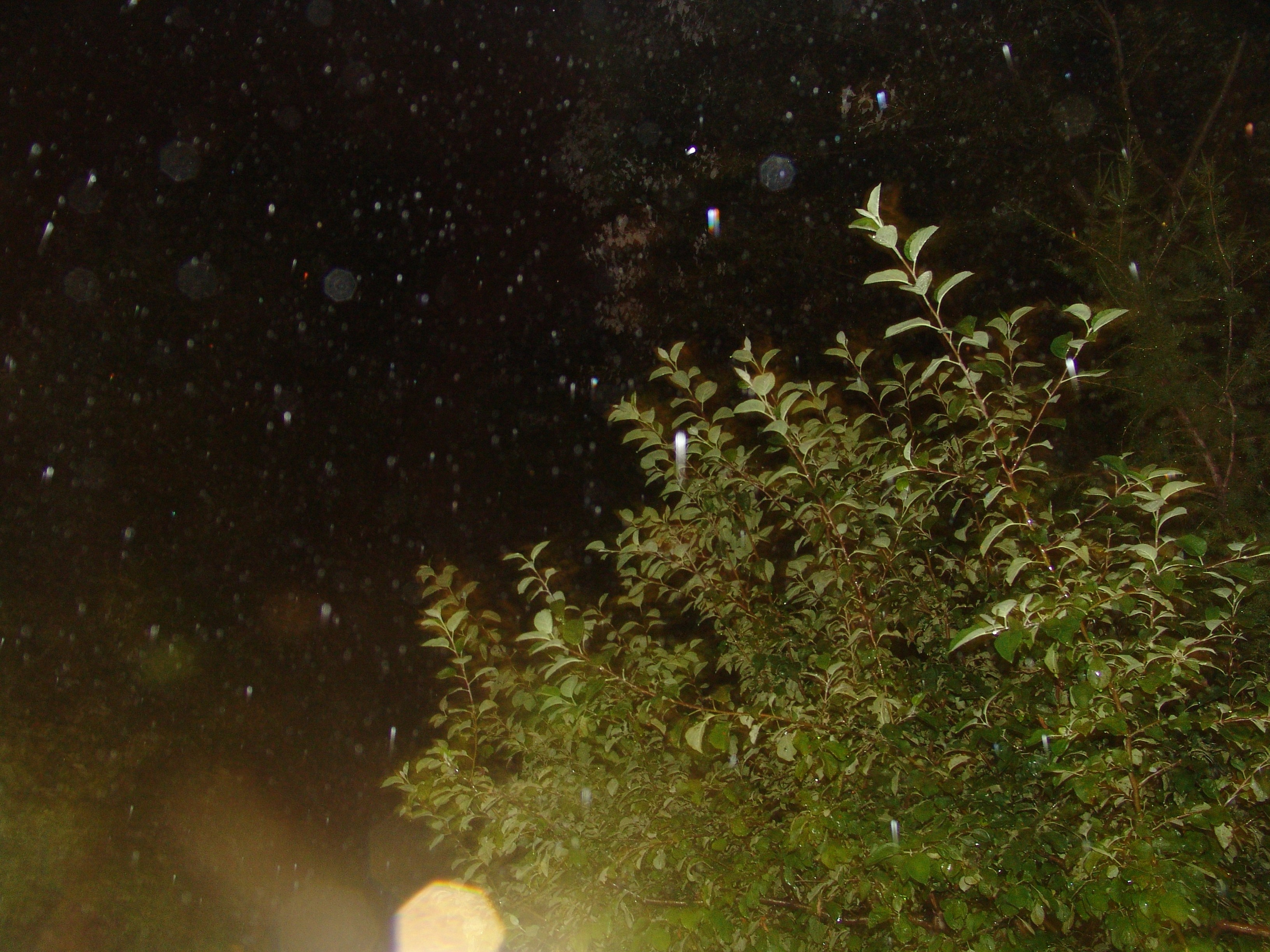 Ергали 11 08 2005. Заставка