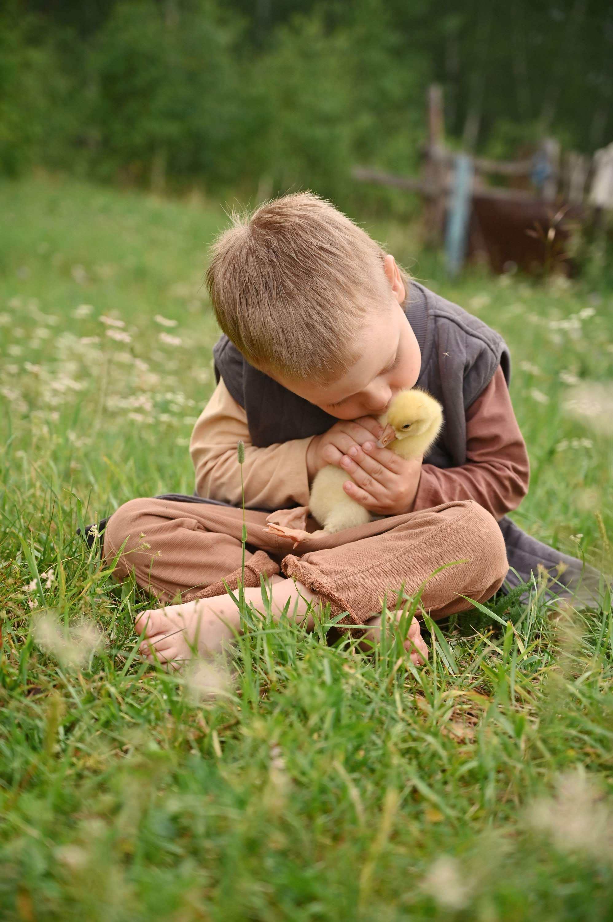 Дети и гусята. Семейный и детский фотограф в Хакасии