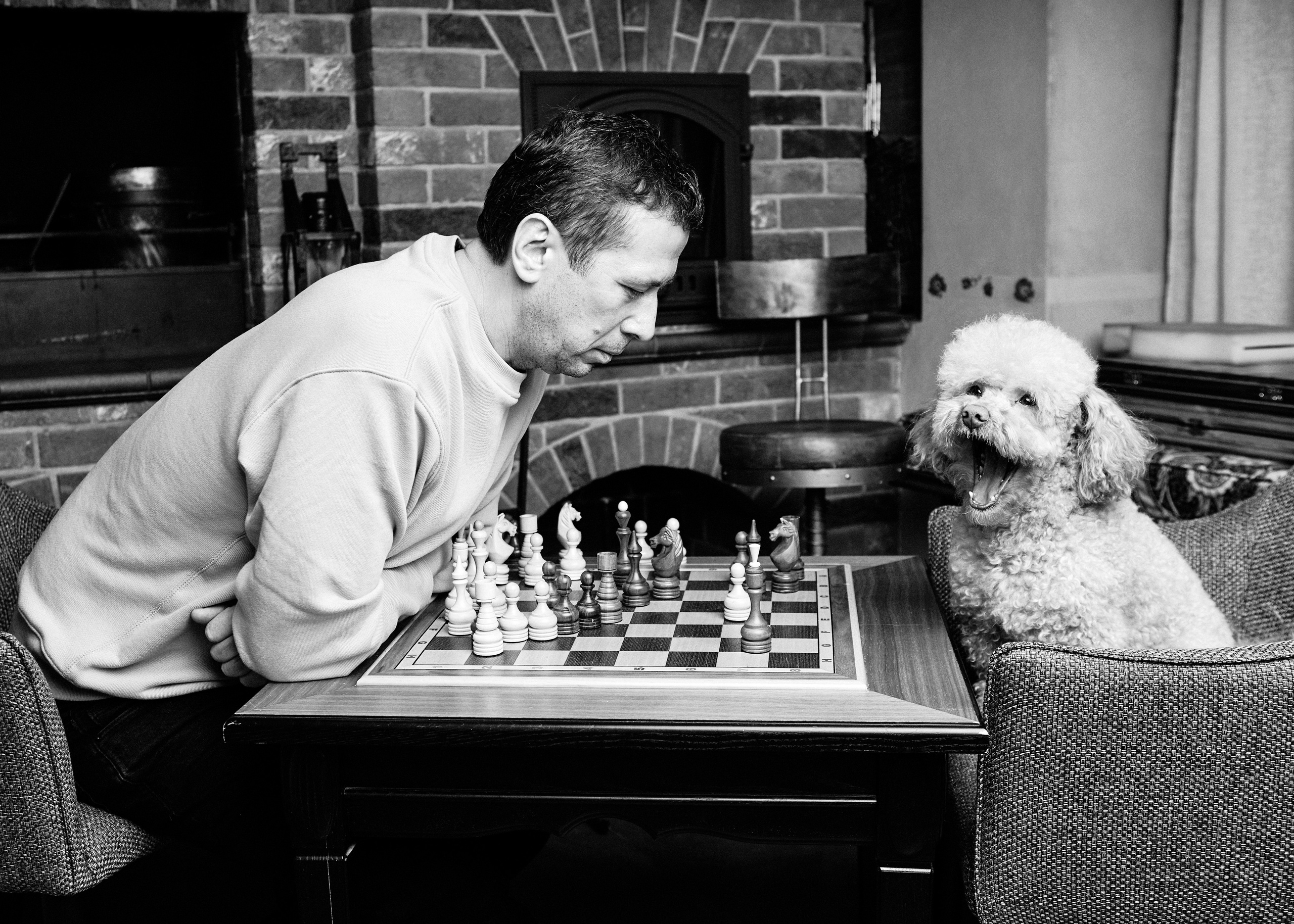 Выставка в Галерее Классической фотографии «У любви четыре лапы». Фотограф Михаил Стенин