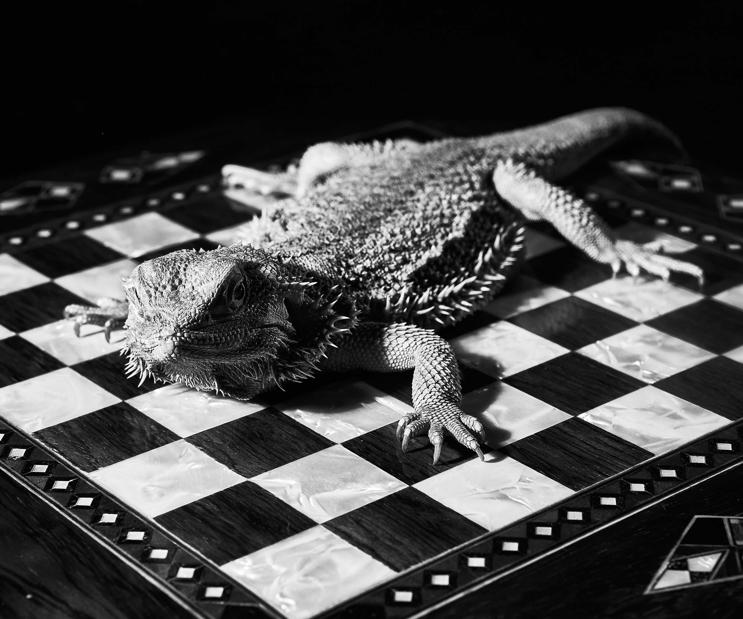 Мироздание