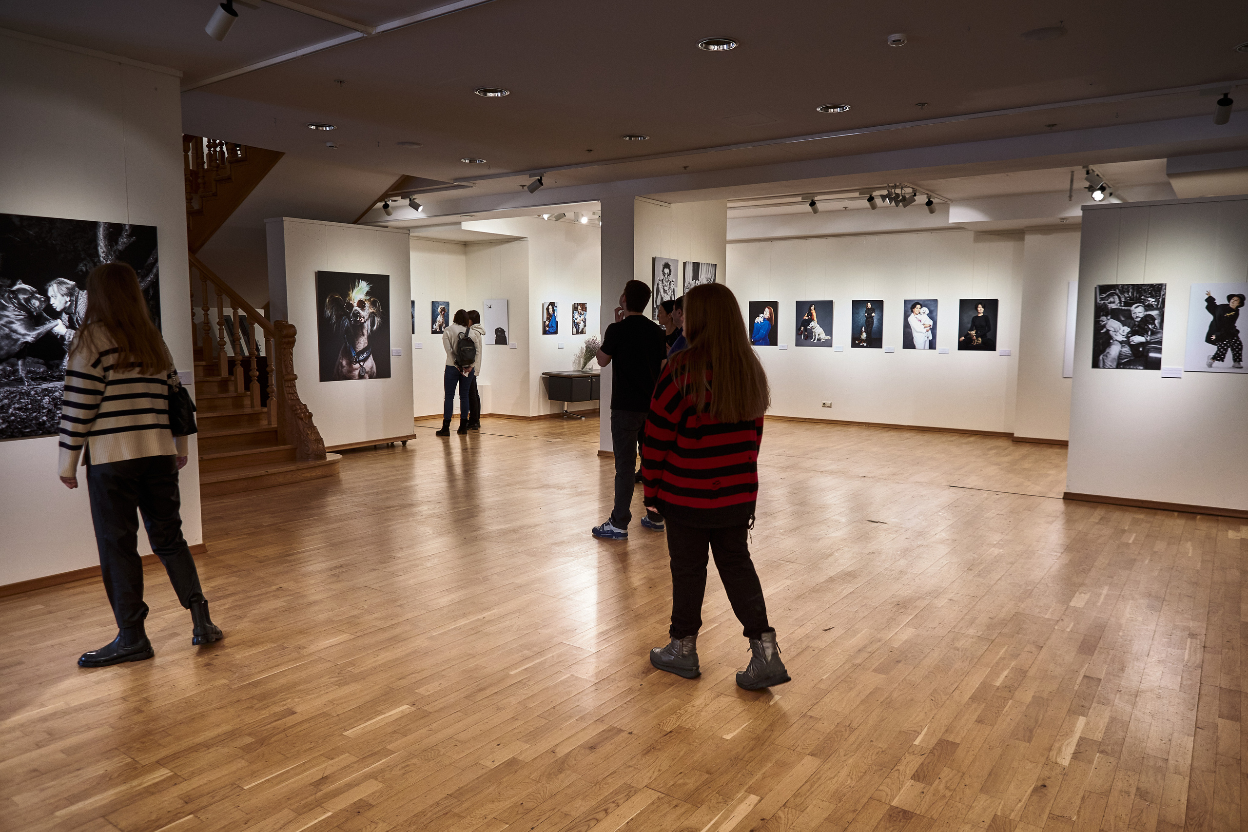 Выставка в Галерее Классической фотографии «У любви четыре лапы». Фотограф Михаил Стенин