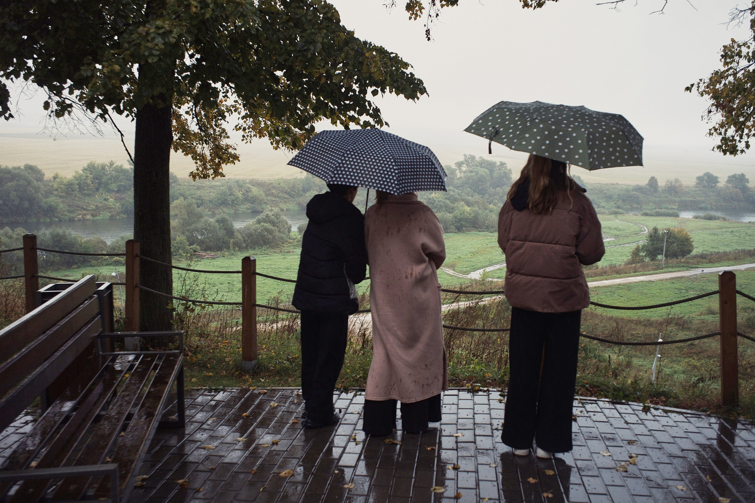 Чекалинцы 2. Дмитрий Ермаков. Фотограф