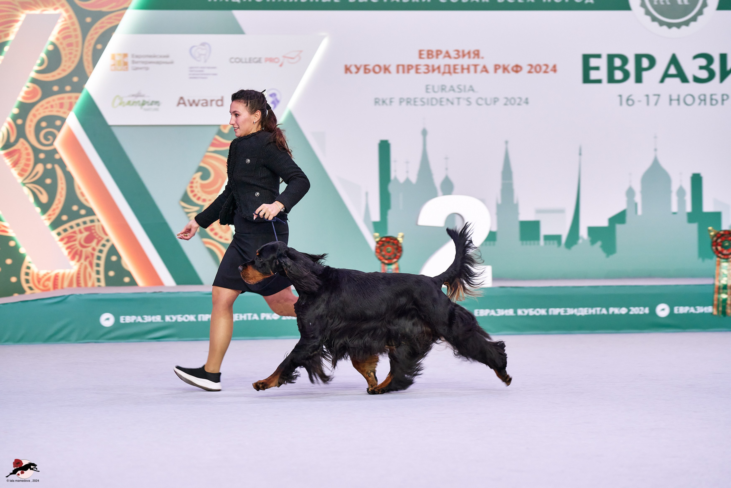 17.11.2024 «ЕВРАЗИЯ. КУБОК СНГ 2024»