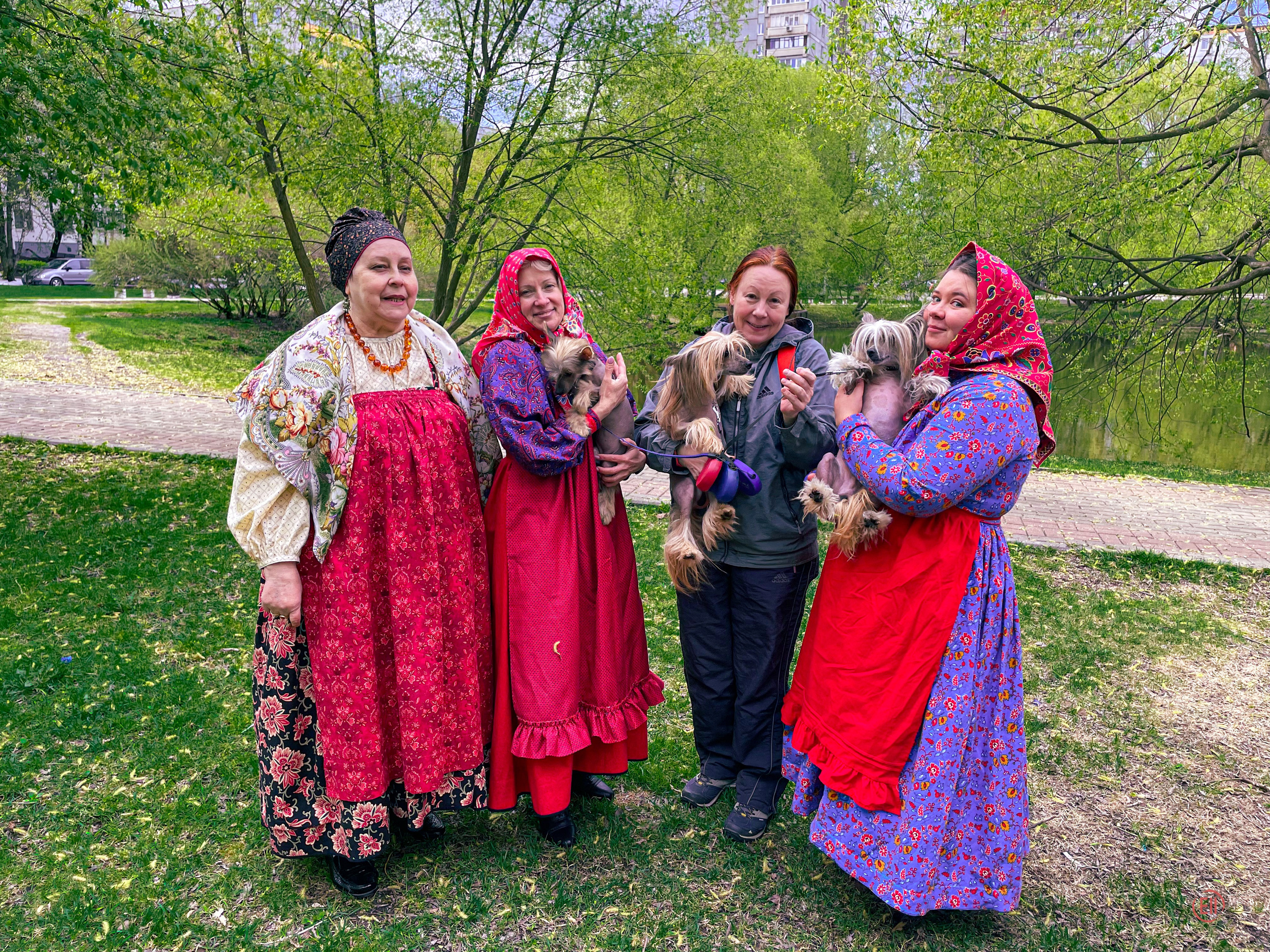 We were stopped on our walk!. Poale Ell Chinese Crested Dog Kennel: Buy a puppy from the kennel