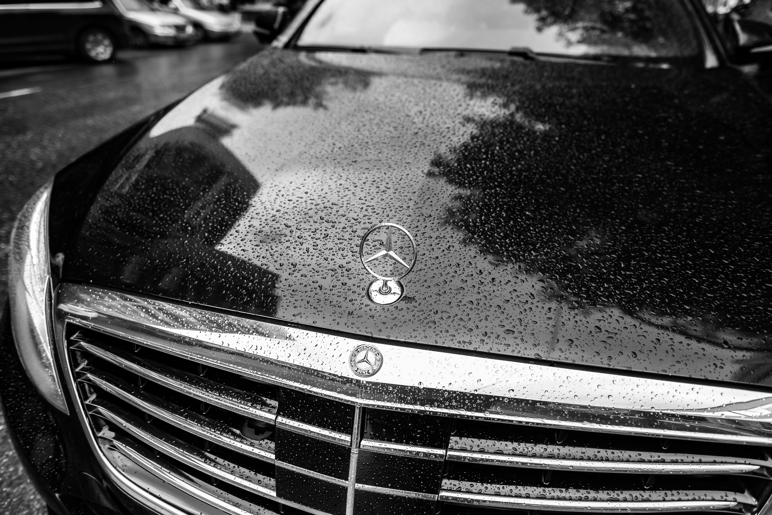 Свадебный фотограф в Екатеринбурге. Свадебная фотосъемка. Свадебный фотограф Горбачева Алена в Екатеринбурге