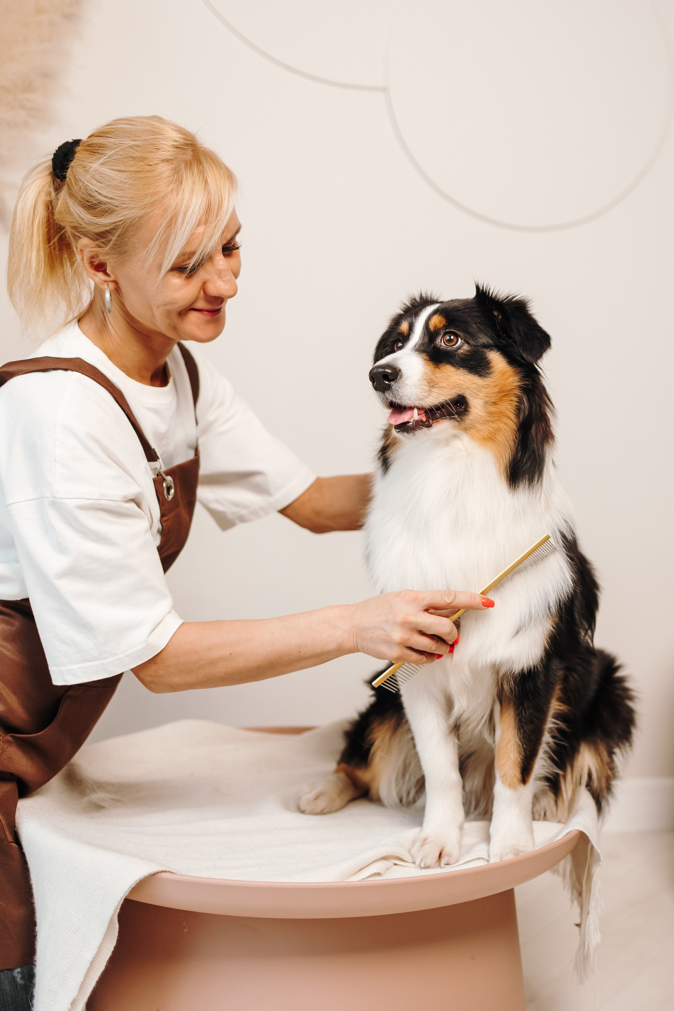 Груминг. Фотограф-анималист в Санкт-Петербурге Алина Яхонт