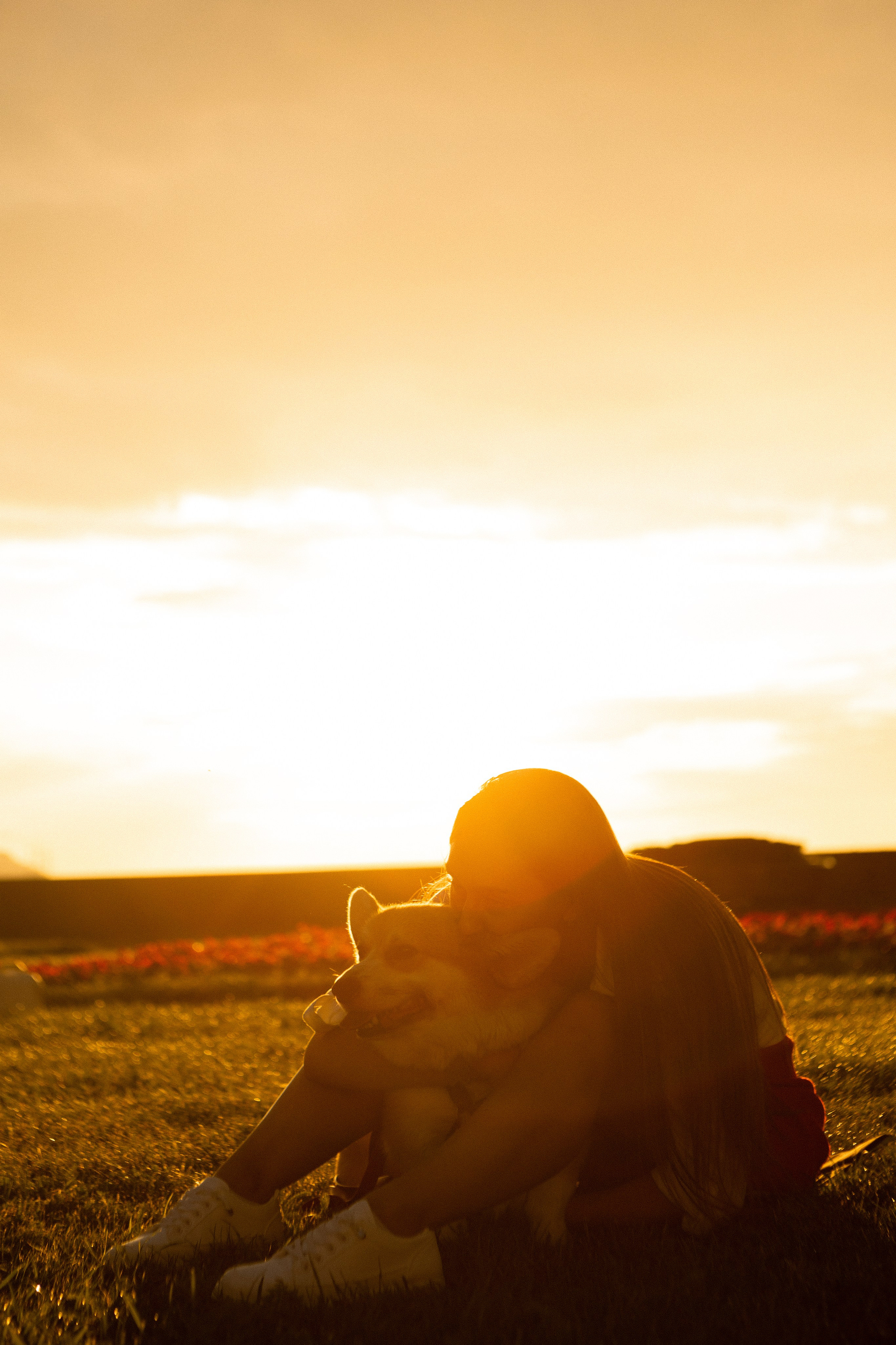 Настя и Стёпа. Фотограф-анималист в Санкт-Петербурге Алина Яхонт