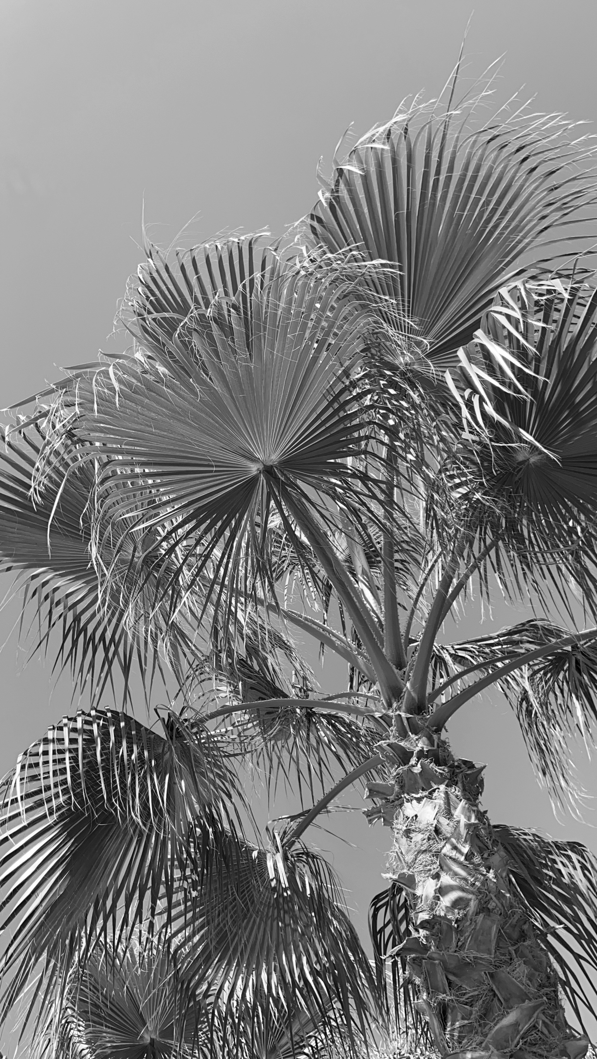 T U R K E Y ' 21. Свадебный фотограф Москва Европа Мария Коренчук