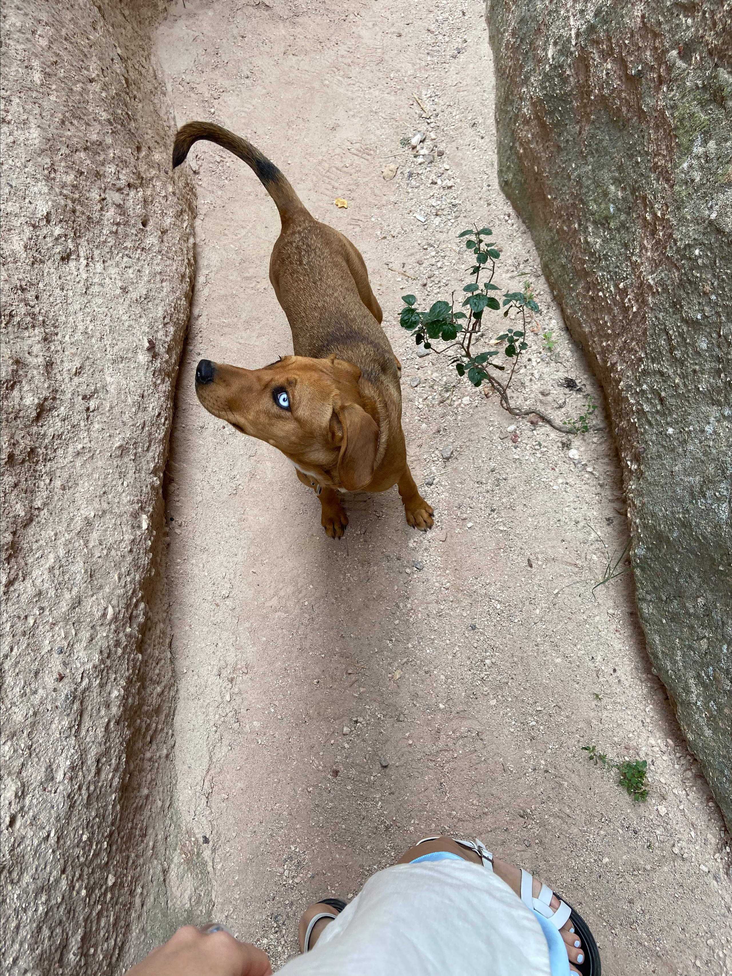 T U R K E Y ' 21. Свадебный фотограф Москва Европа Мария Коренчук