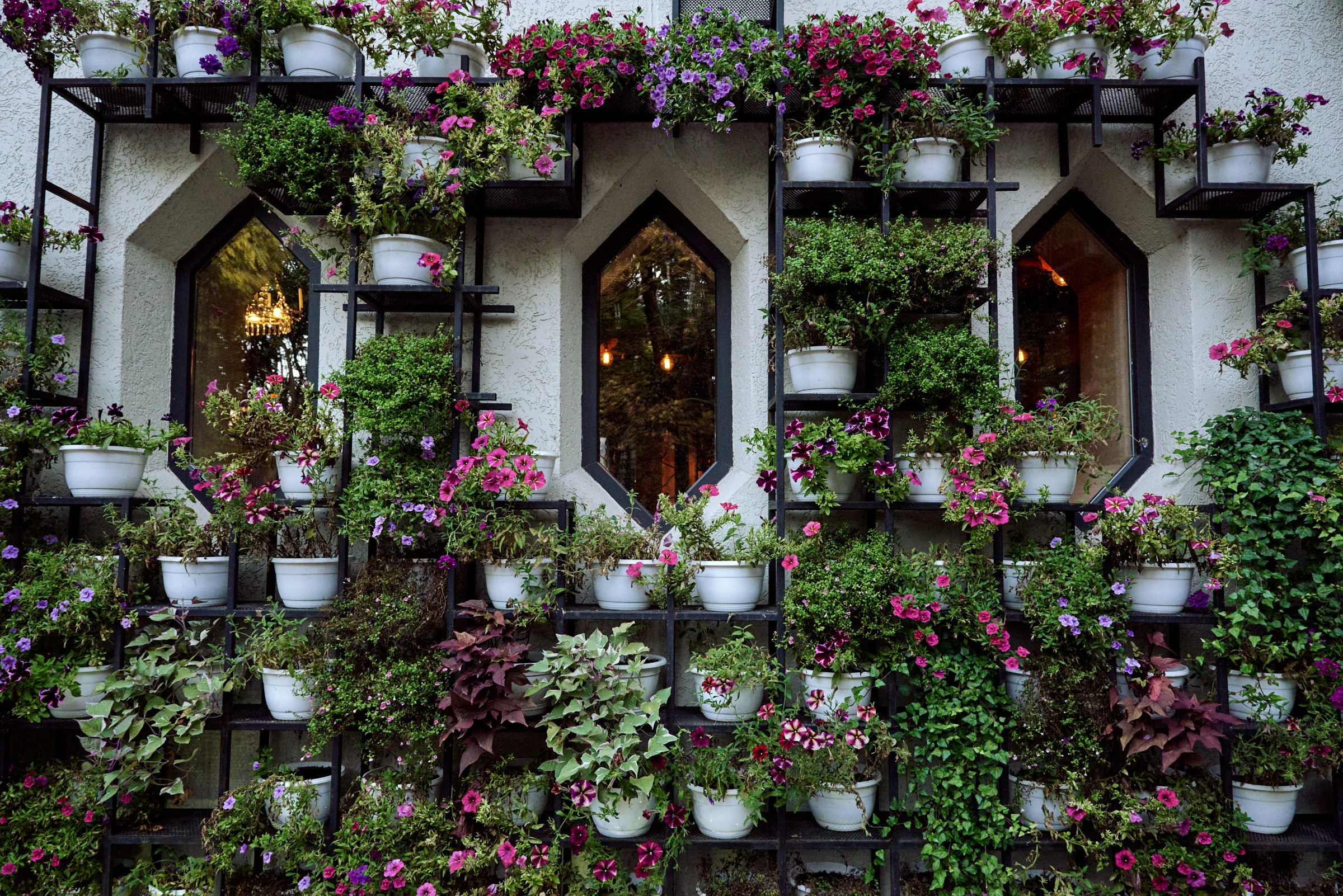 Ярослав и Юлия. Маляревич Дмитрий свадебный фотограф