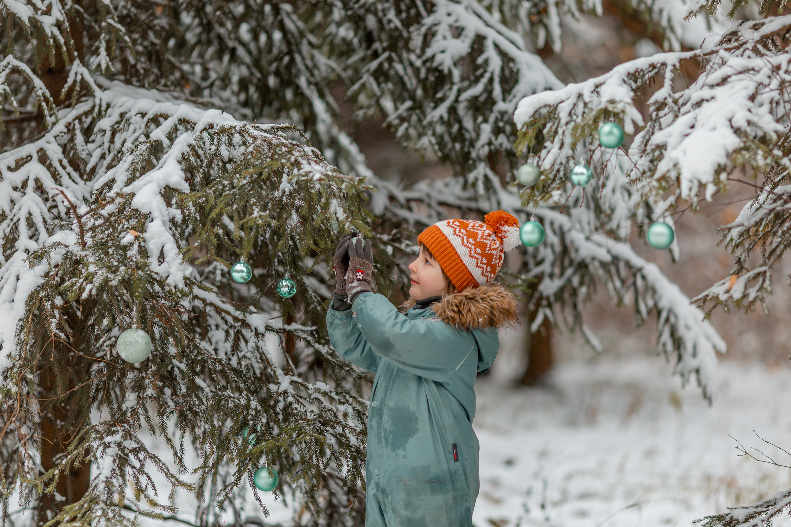 Зимний лес. Семейный и детский фотограф в Москве Алёна Кораблина