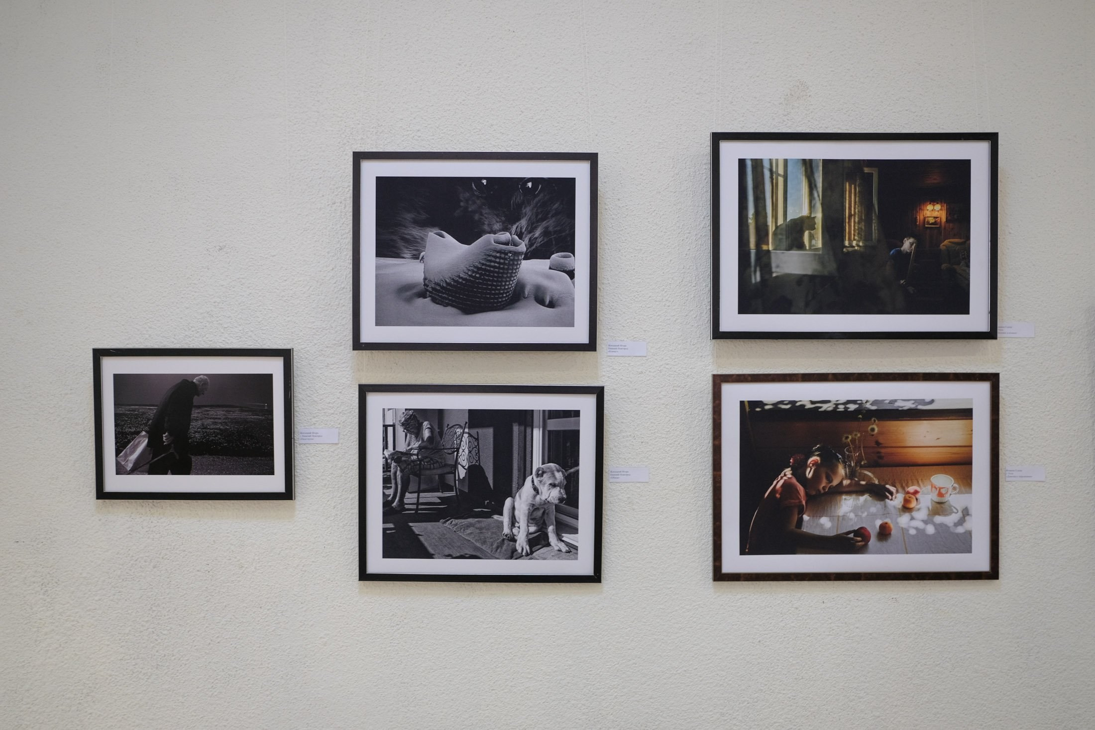 «Светопись-2024» г. Краснодар. Фотограф в Самаре Елена Фомина