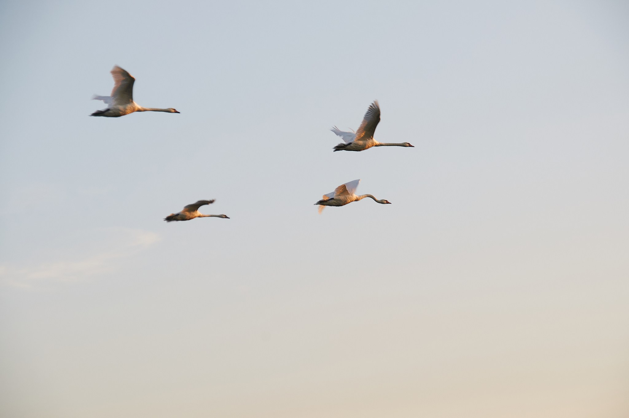 Заповедные уголки Земли: обитатели дикой природы. Координаты красоты — география в фокусе
