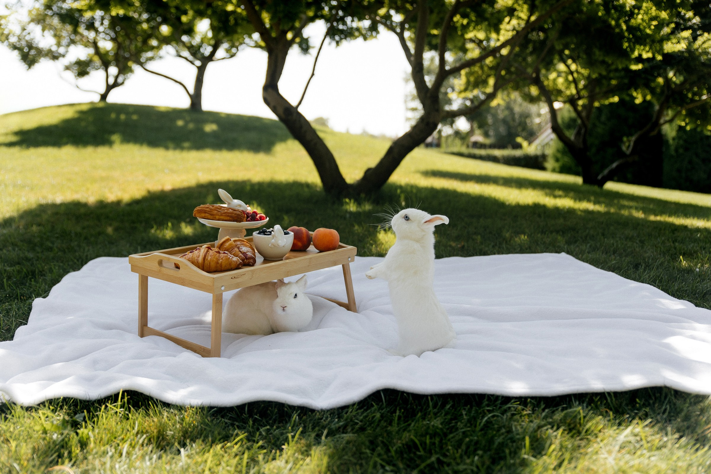 Александр и Яна (31.08.23). Свадебный фотограф в Ростове-на-Дону