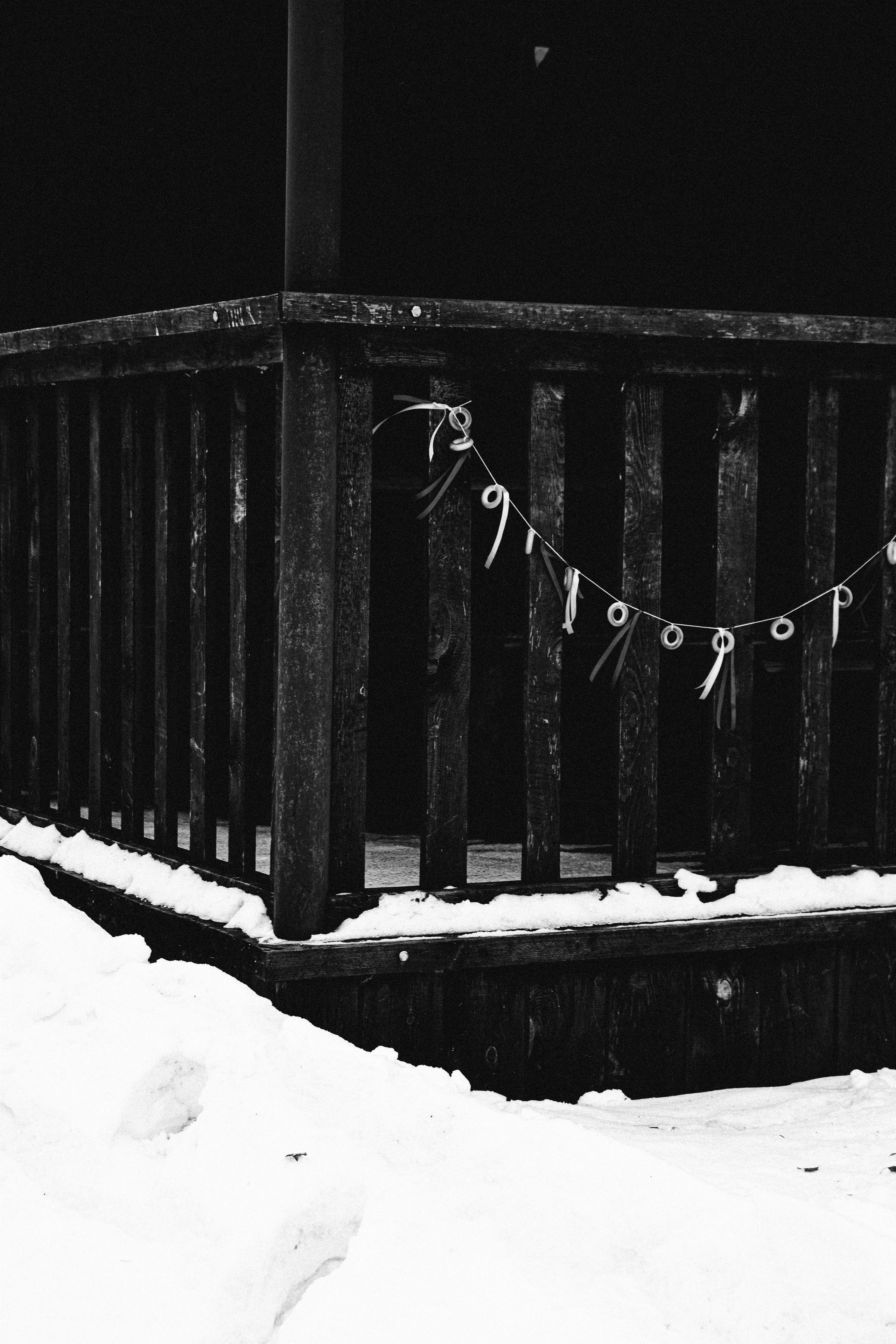 Мероприятия. Соня Мнема