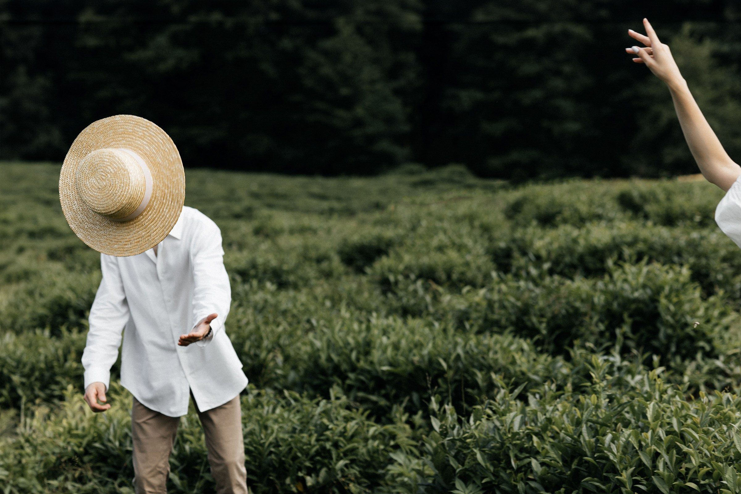 Он, она и слоны. Свадебный фотограф в Ростове-на-Дону