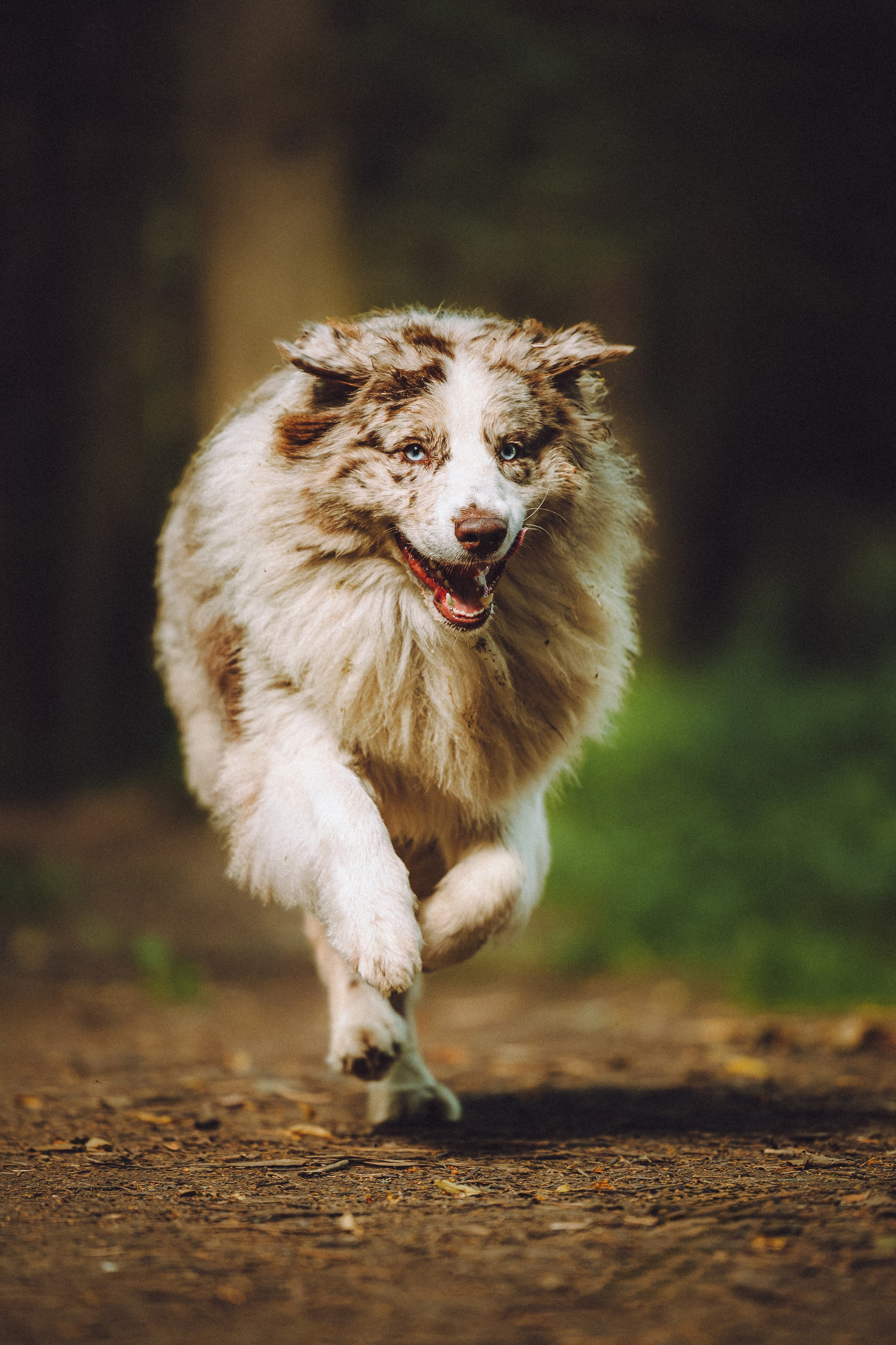 Катя, Андрей, Гектор, Ричи, Тортик и Трой