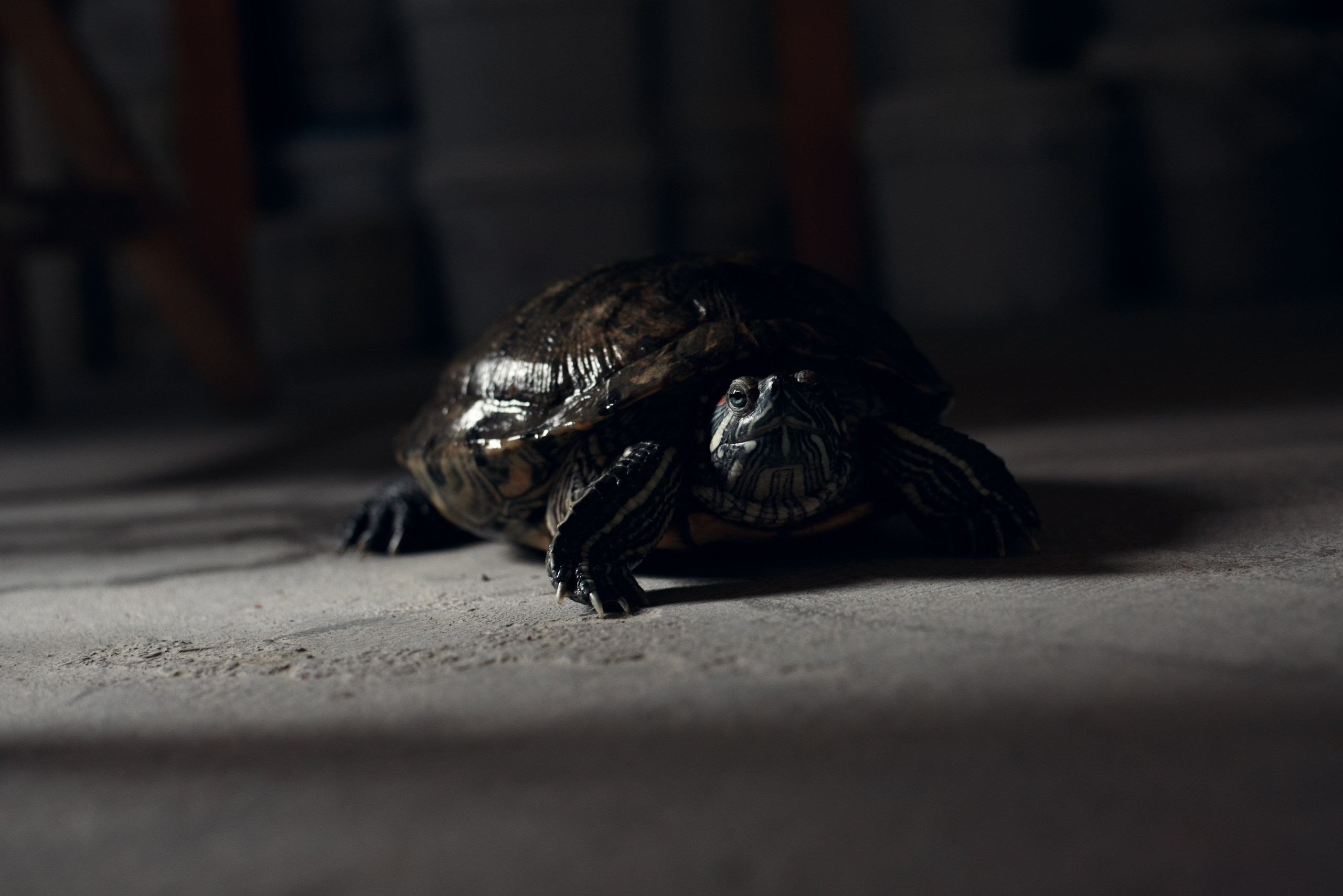 РЕПОРТАЖ. Профессиональный фотограф, фотохудожник, видеограф из Москвы