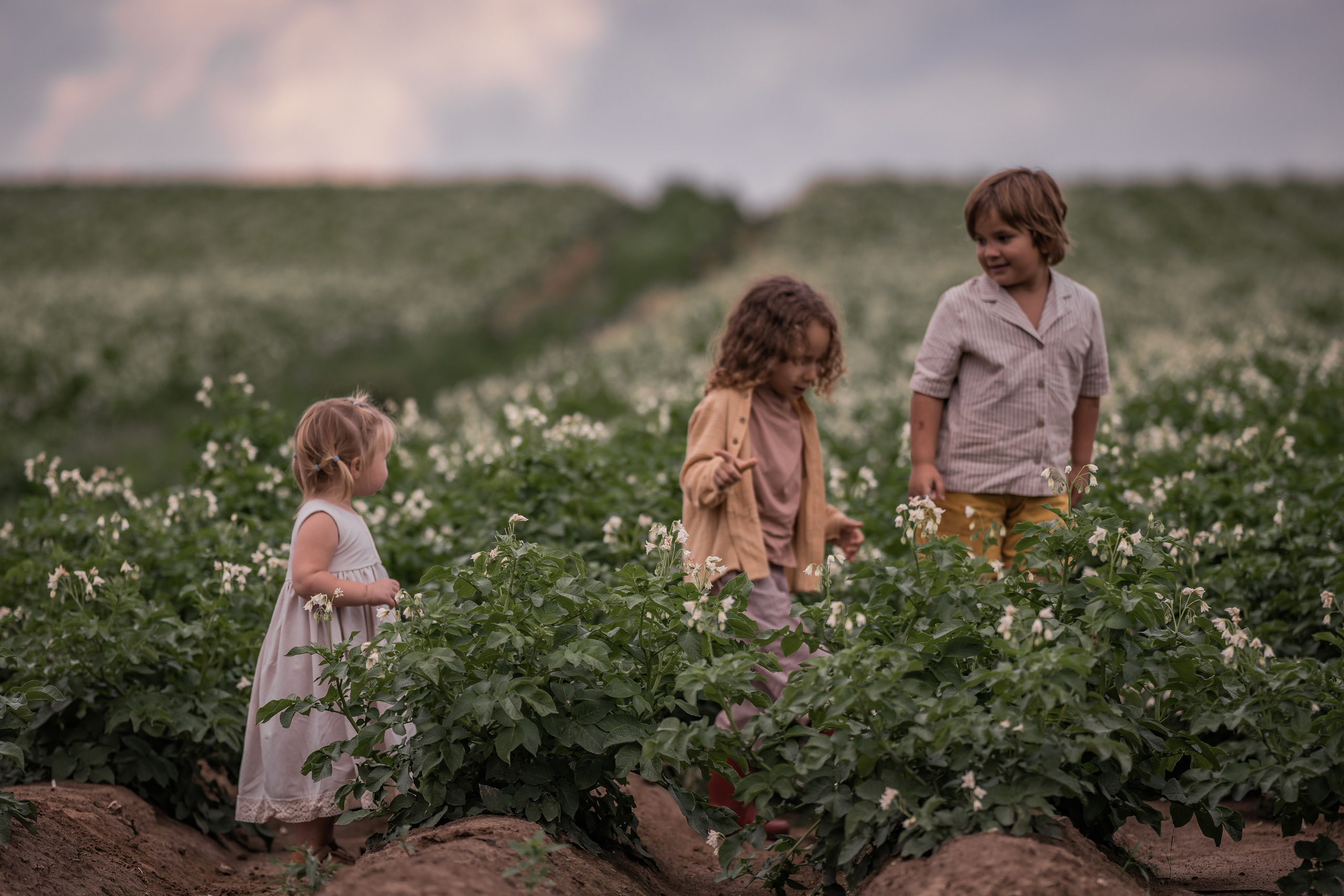 Пшеничное поле, август. Семейный фотограф Ефремова Виктория