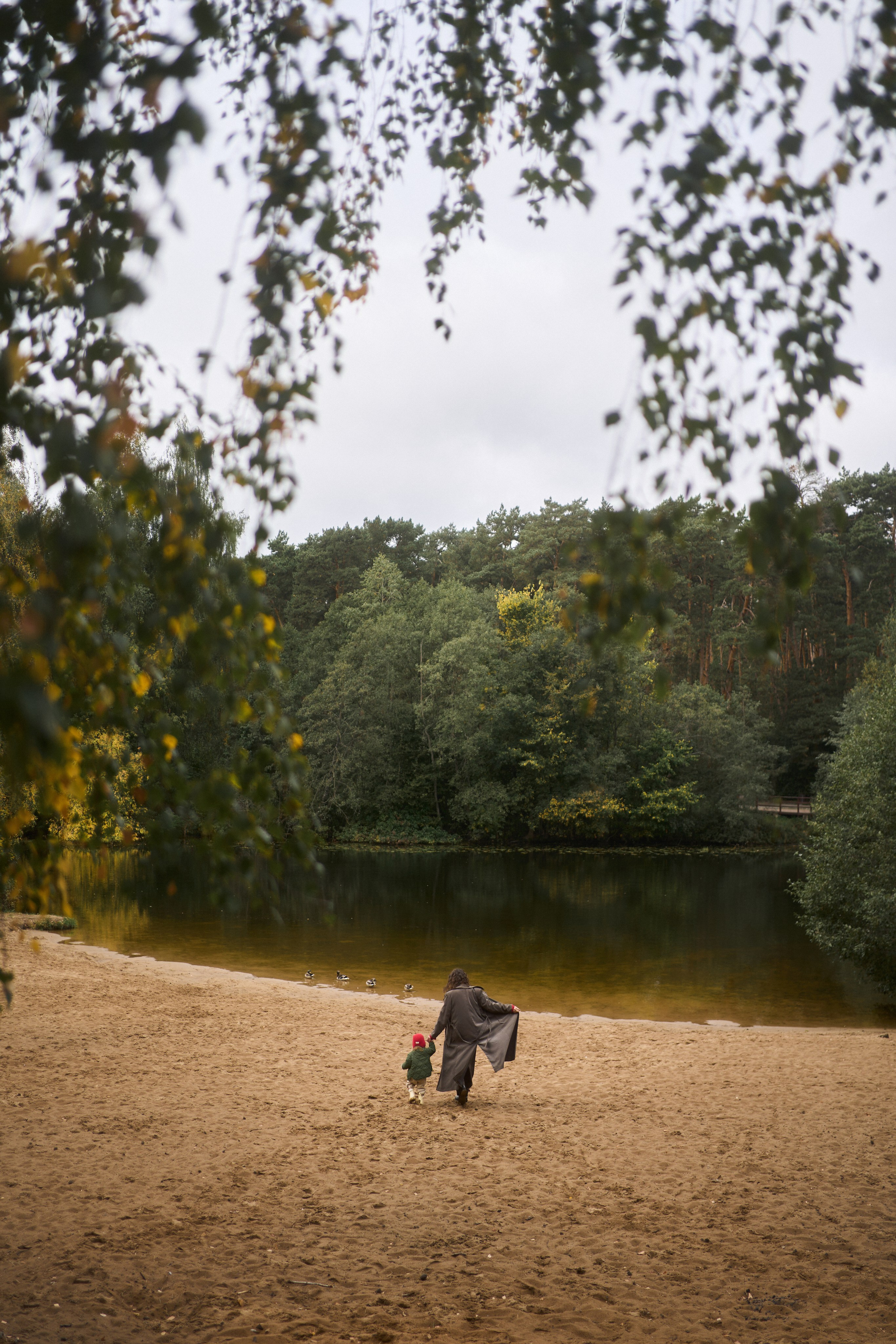 Печенье в песке. Фотограф анималист Москва Дарья