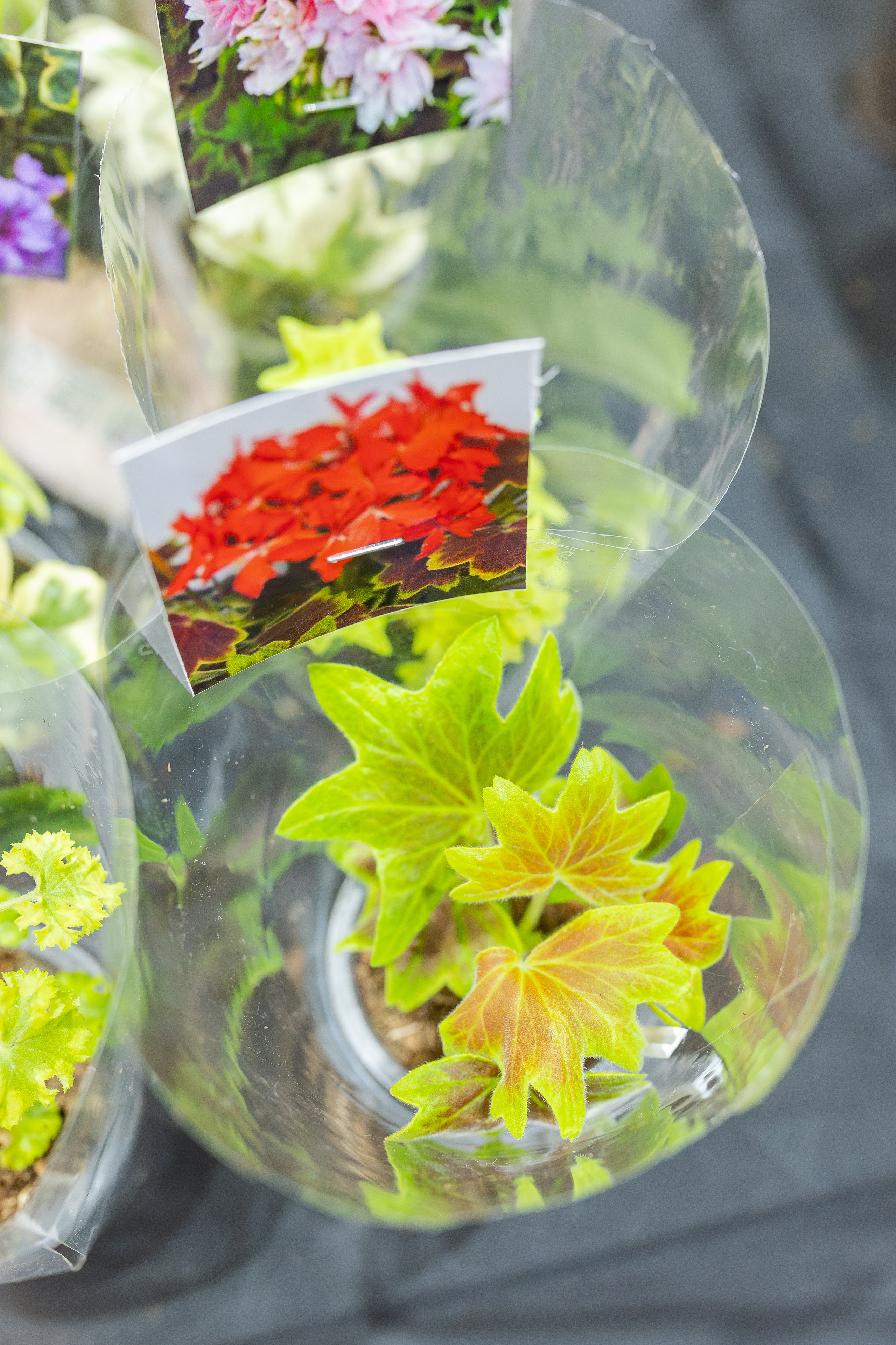 Монстериум апрель 2026. Александра Куликова фотограф, Москва