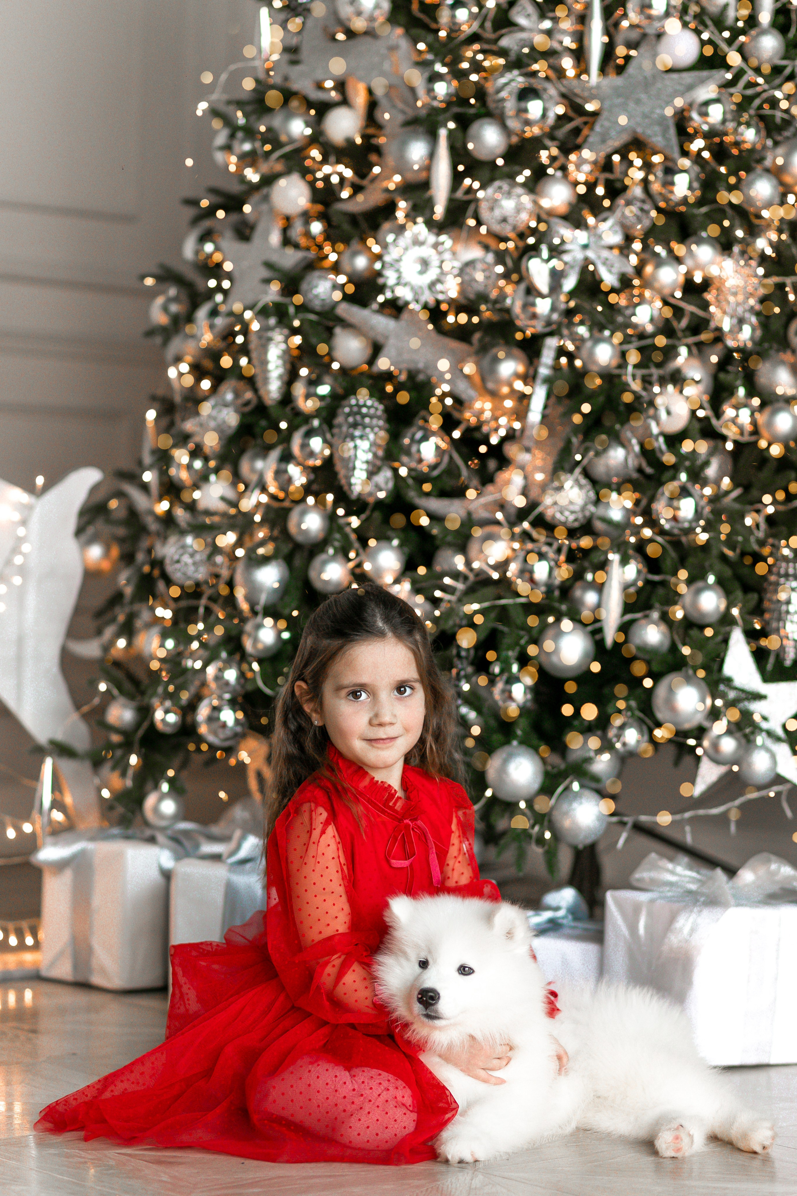 Фотосессия с животными в студии. Фотопроекты, фотодни и фотосессии в Москве