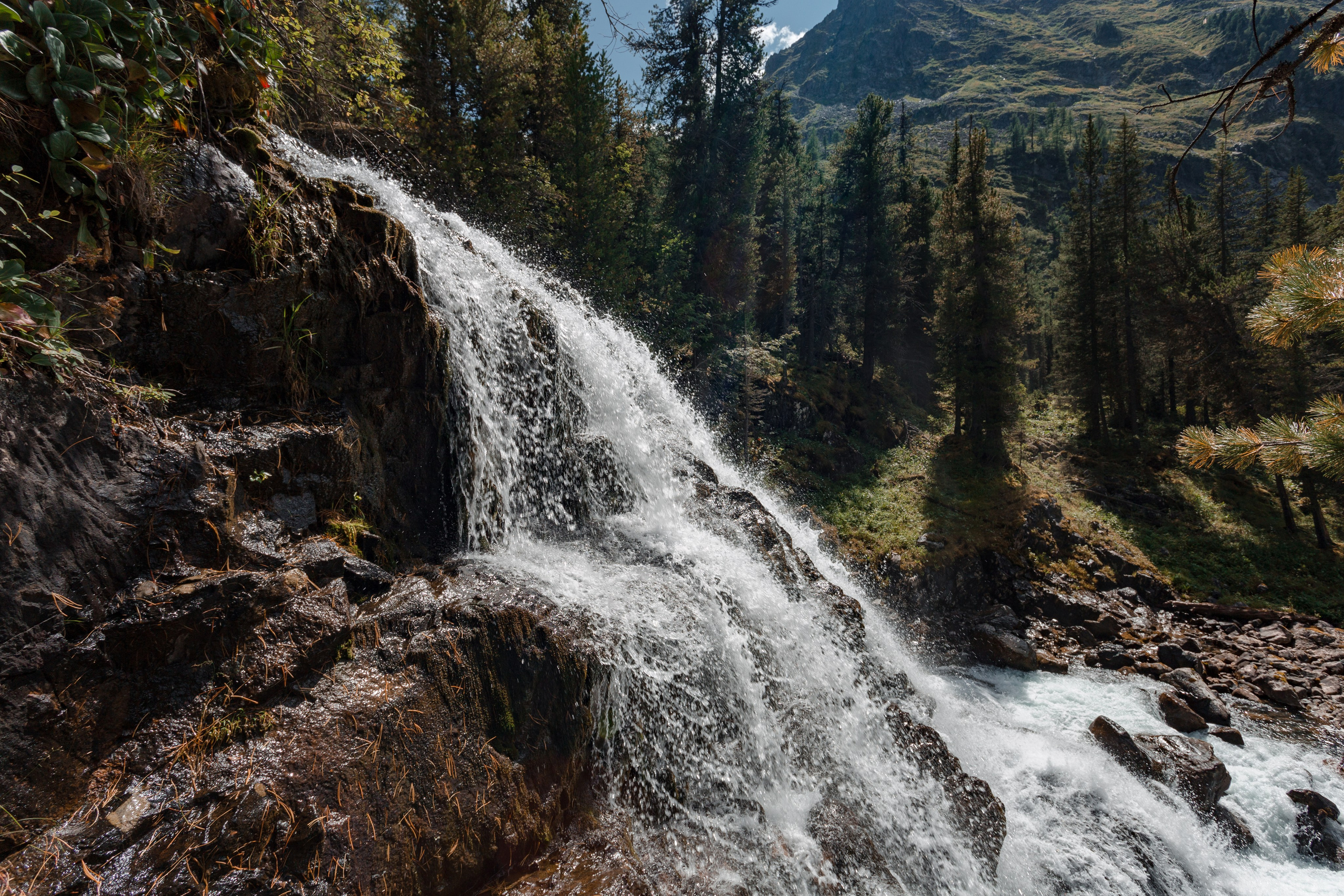 Катунский заповедник, Республика Алтай. Репортажный фотограф в Крыму Ксения Гасица