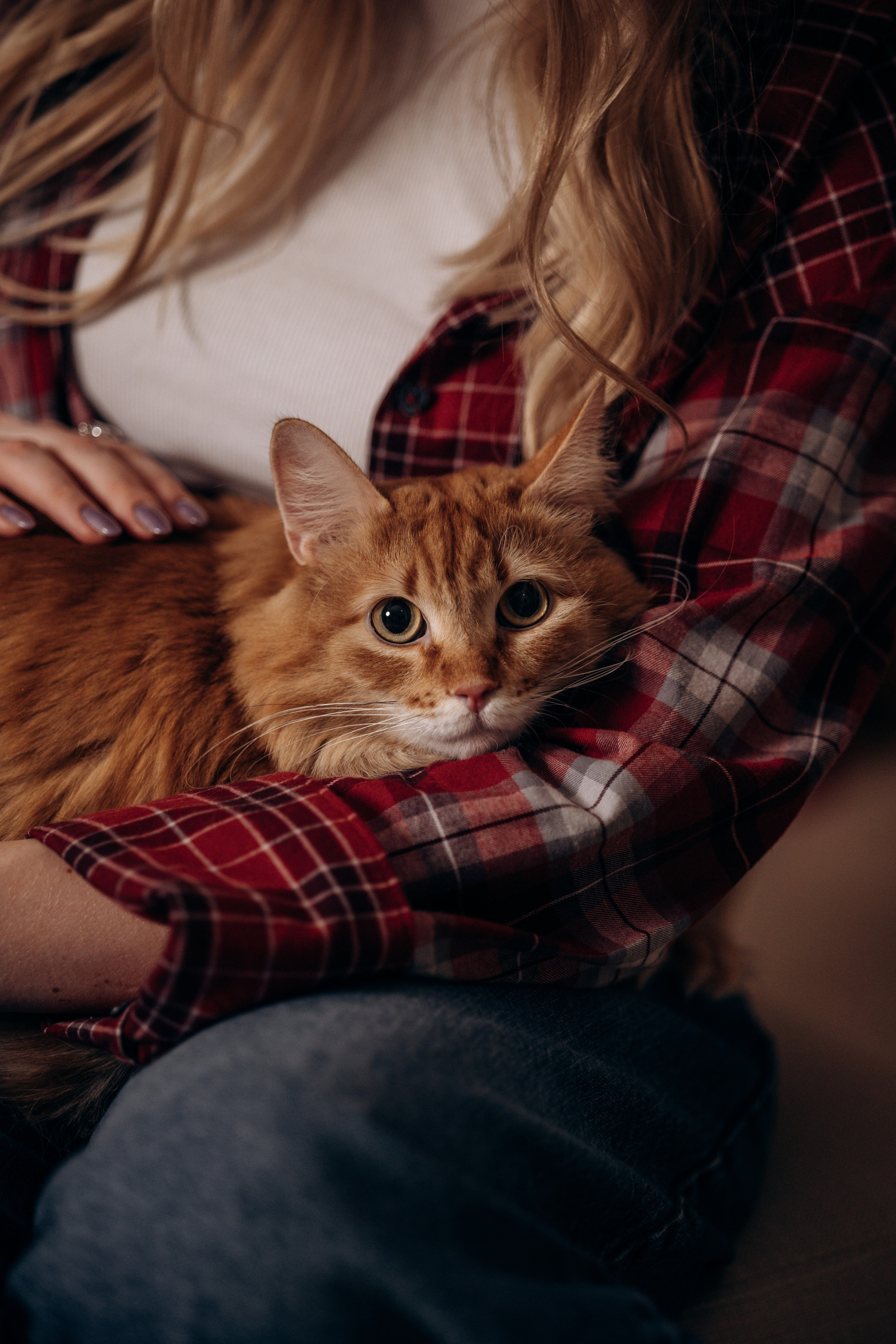 Эля и Франц. Фотограф — Анималист | Санкт-Петербург