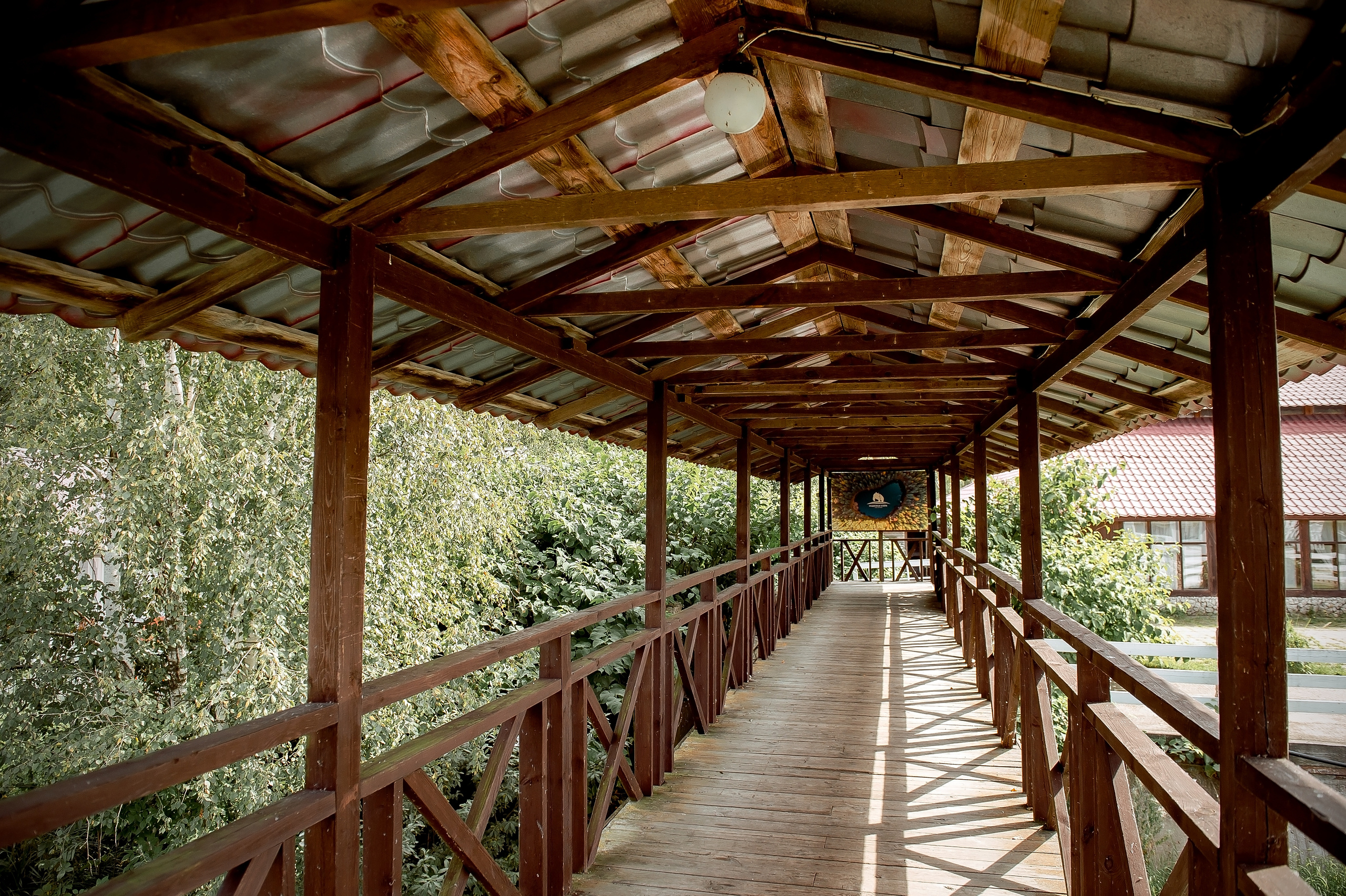 Катя и Дима, Загородный клуб «Медвежьи озёра». Свадебный и семейный фотограф Виктория Носачёва. Щелково, Москва и МО
