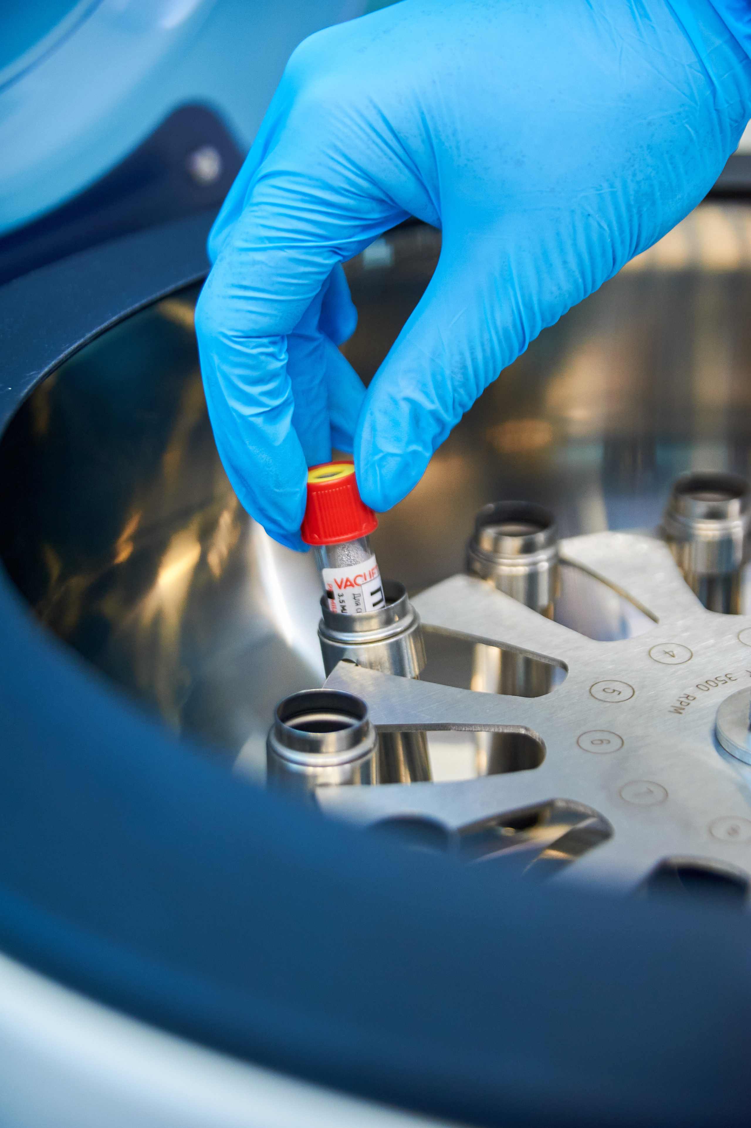 Invitro SMM. Фотограф | Кнышева Валерия | Санкт-Петербург