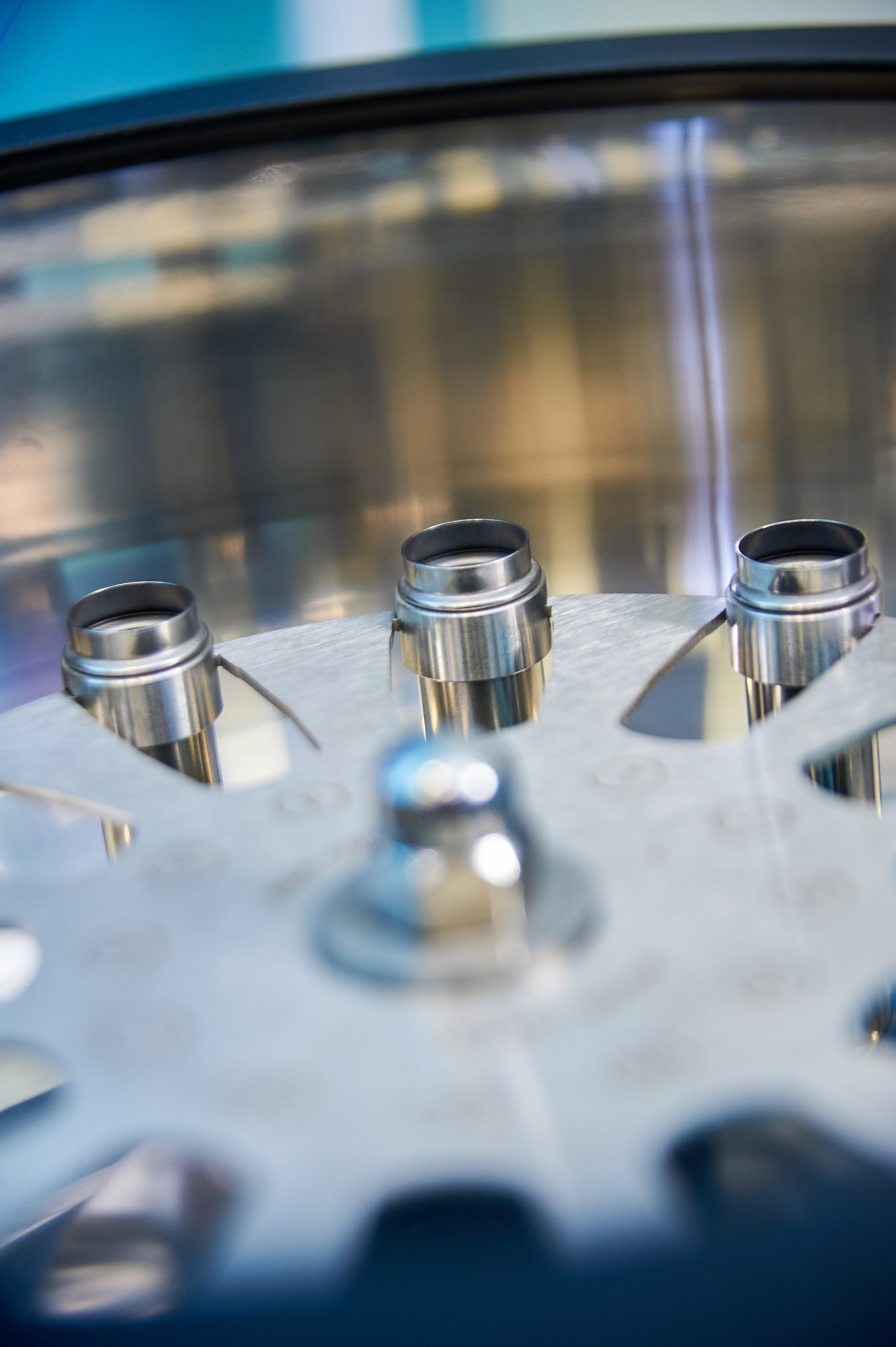 Invitro SMM. Фотограф | Кнышева Валерия | Санкт-Петербург