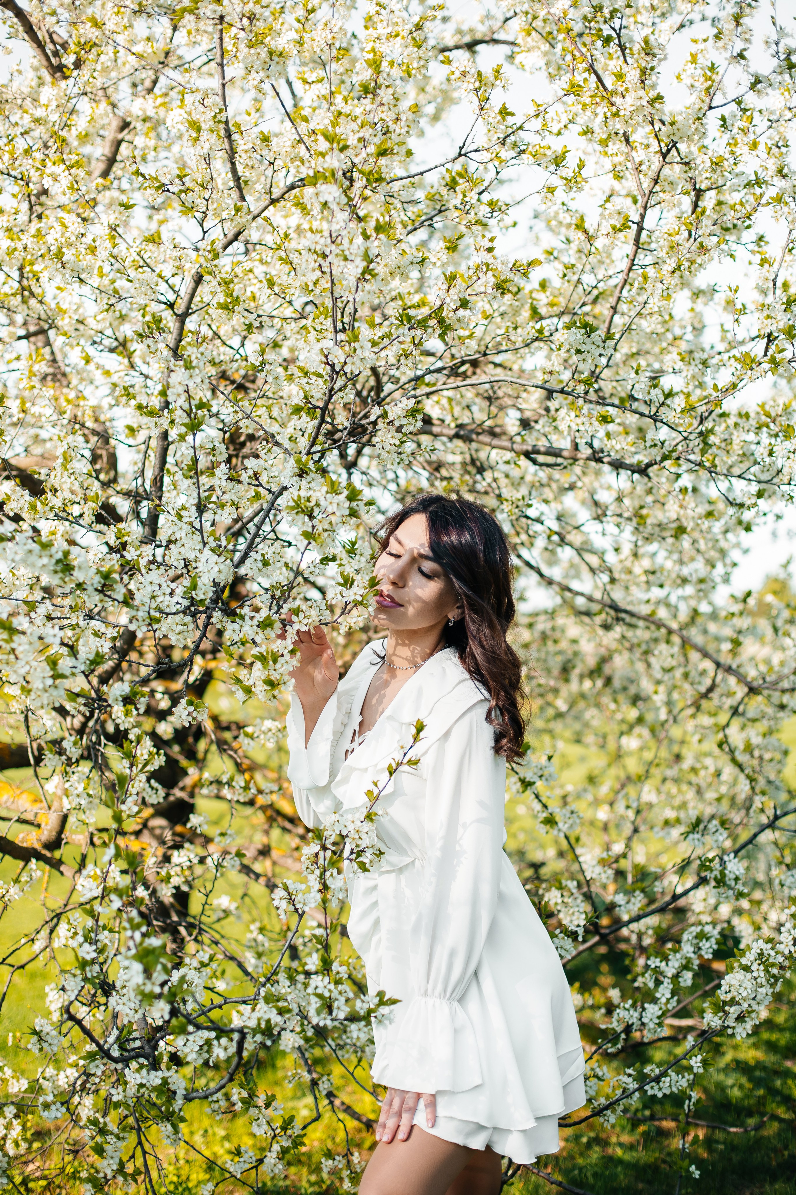 Вишня. Анастасия Давыдова