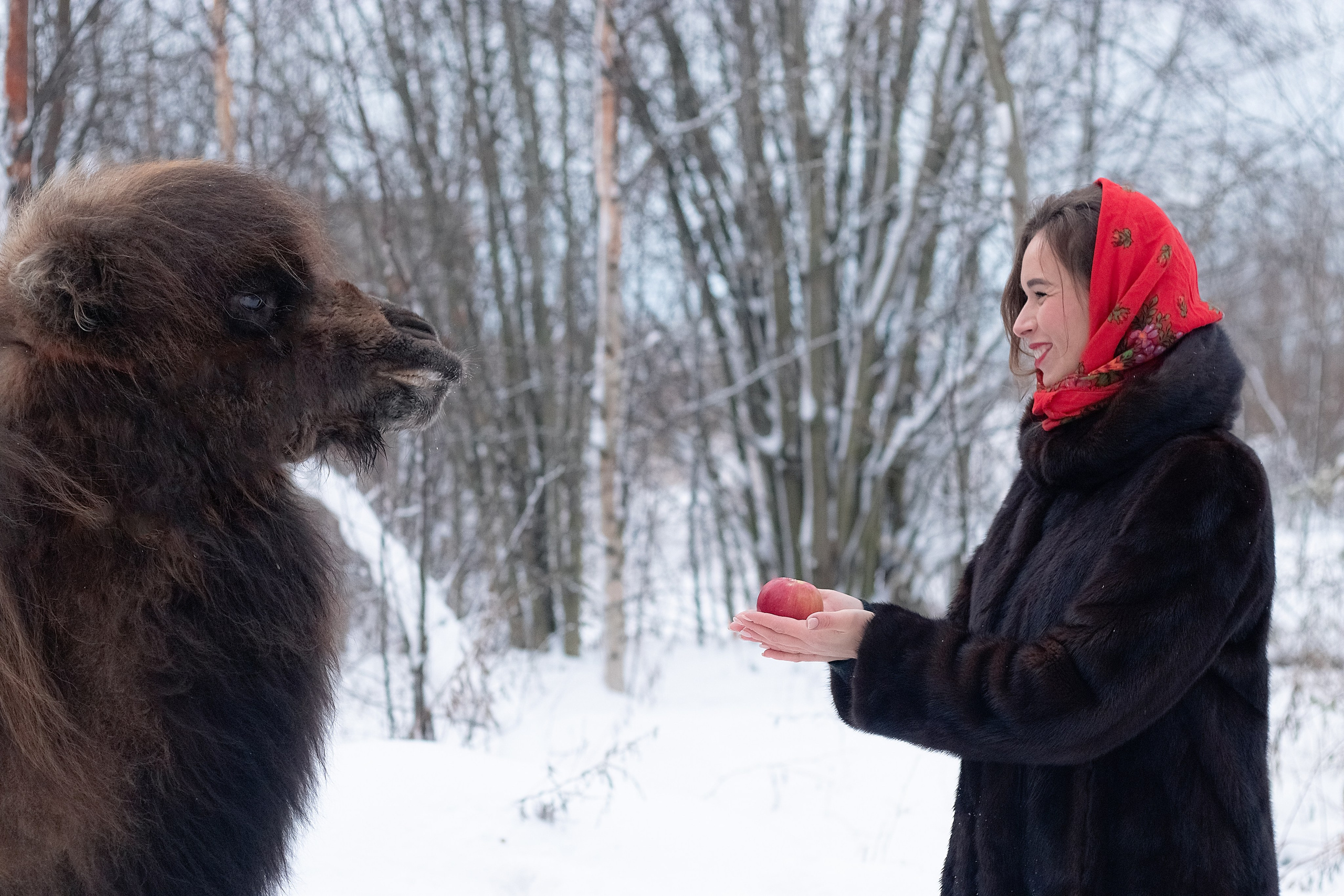 Алёна и Диня. Портретный и пейзажный фотограф Никита Павлов
