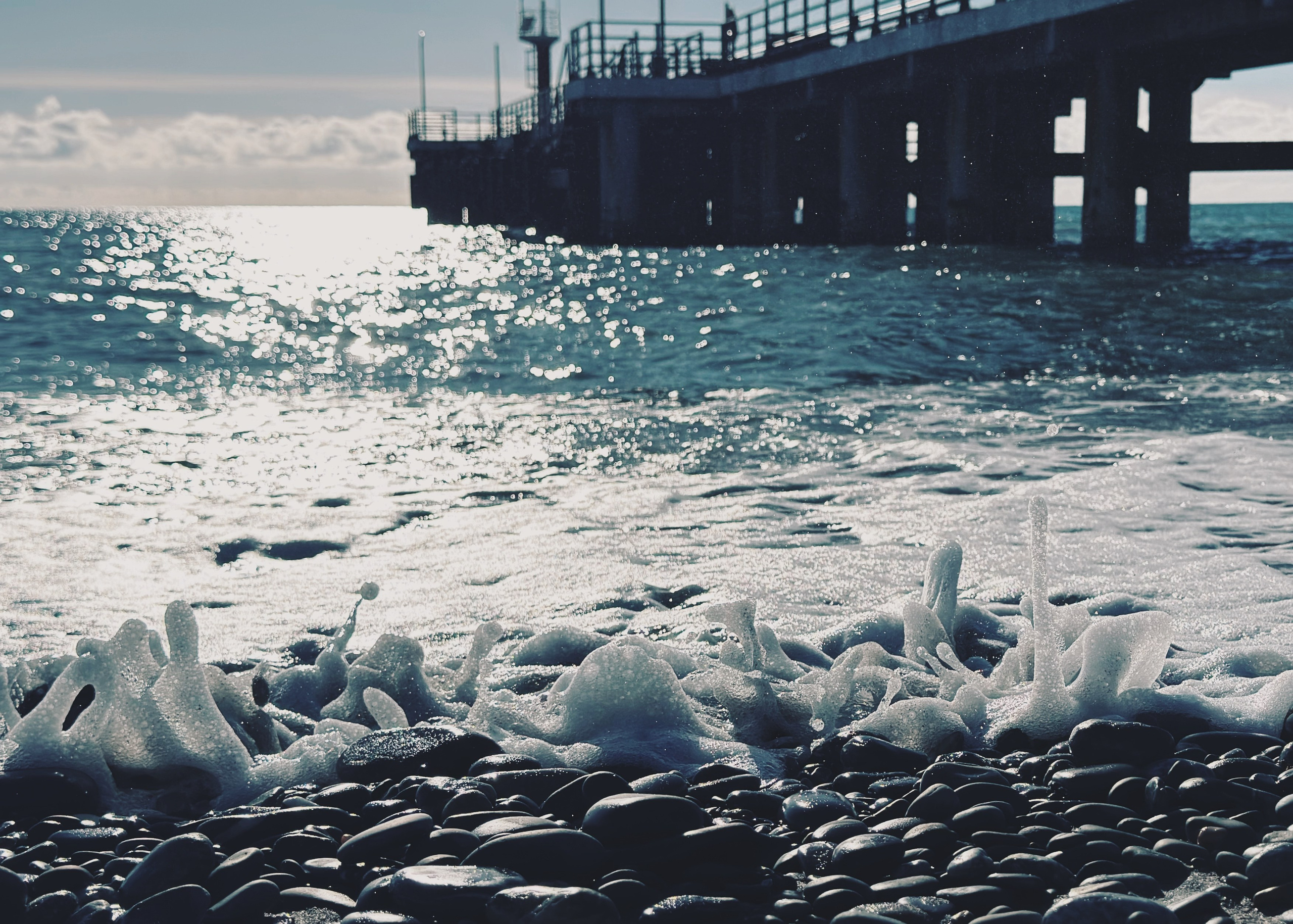 Мир вокруг. Фотограф • Елена Миронова