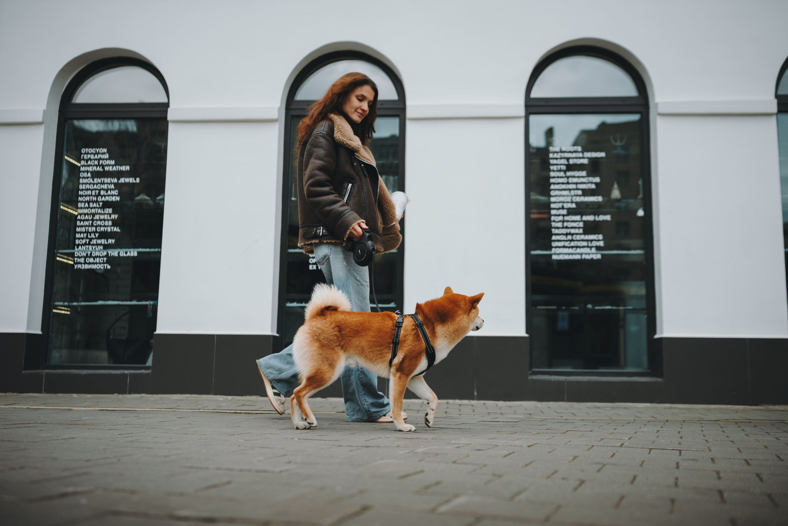 Pawsitive. Семейный фотограф анималист Ананьева Мария — Москва