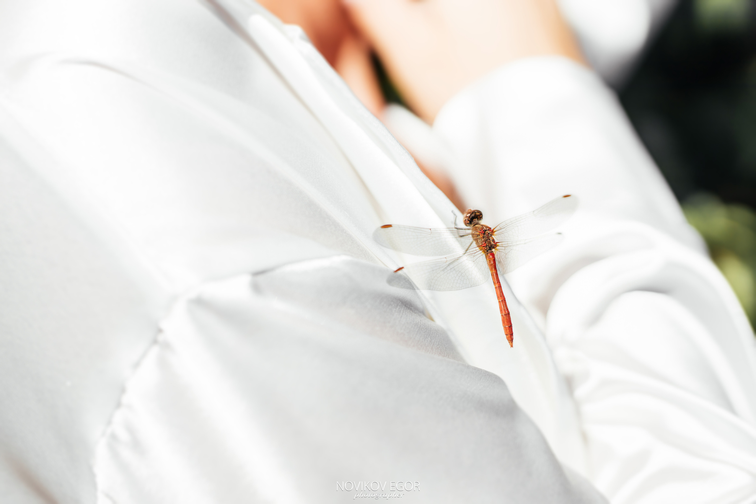 Mark&Tanya X TheFirst. Фотограф Ростов-на-Дону