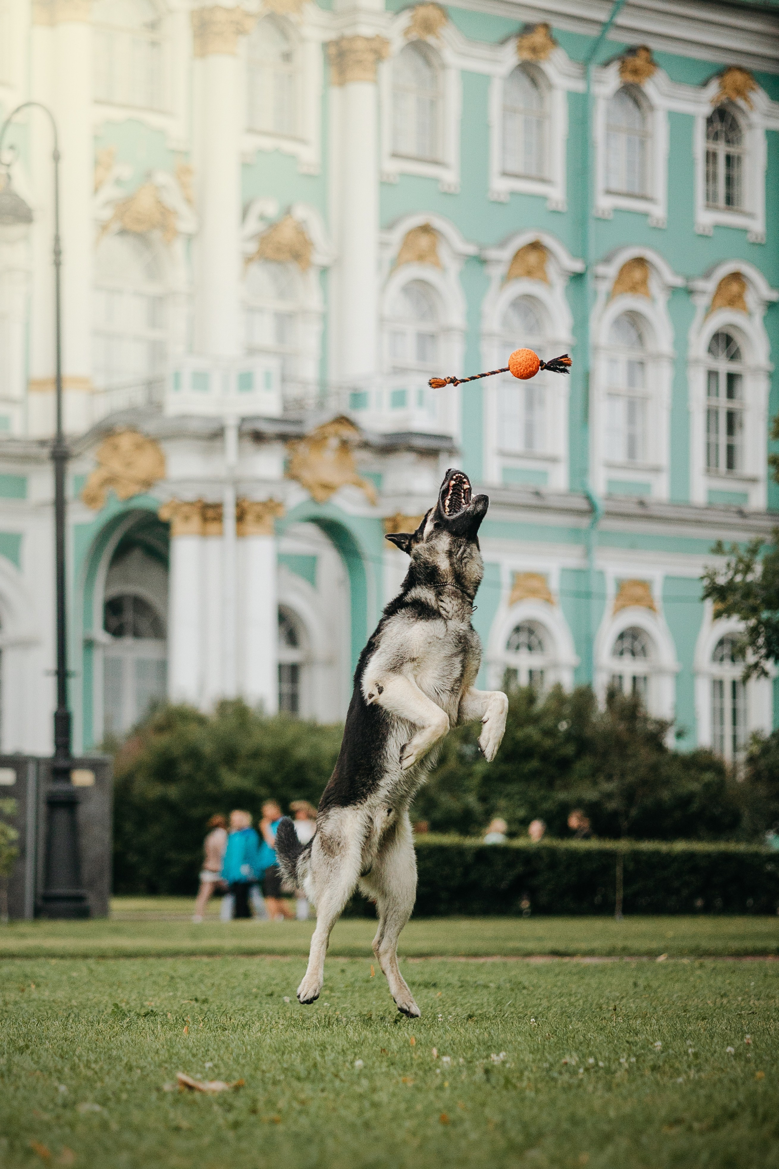 Рей и Ксения. Фотограф — Анималист | Санкт-Петербург