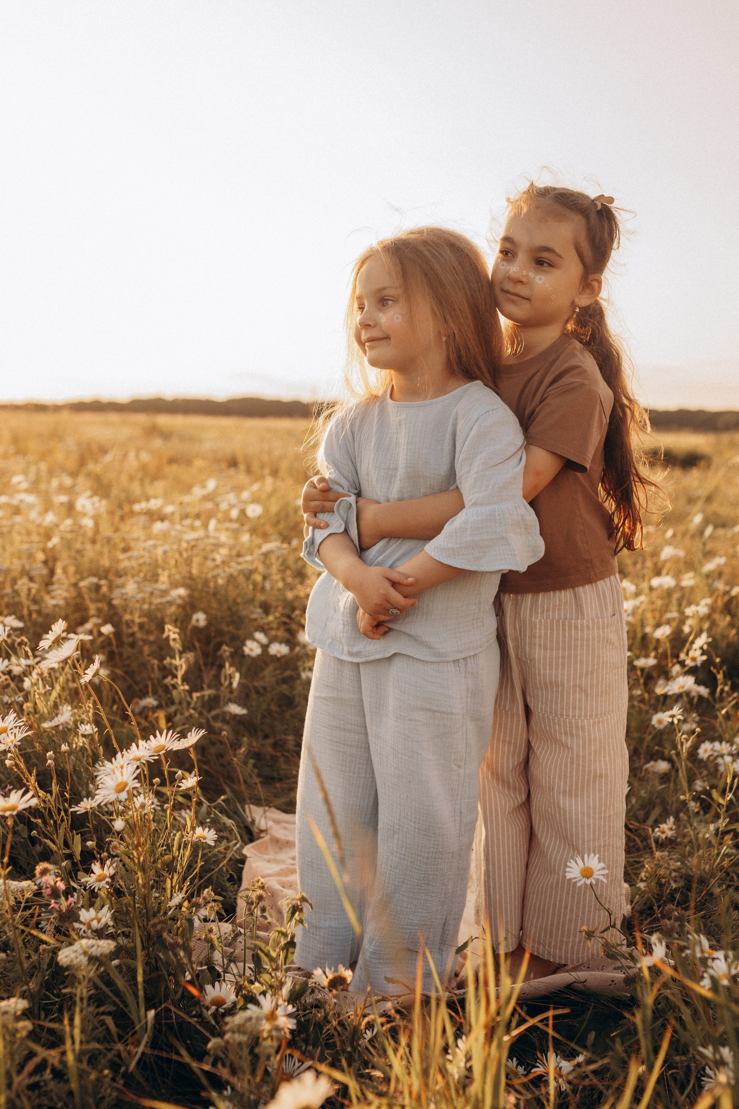 Закат на ромашковом поле. Фотограф в Ставрополе Svetlana Matveeva