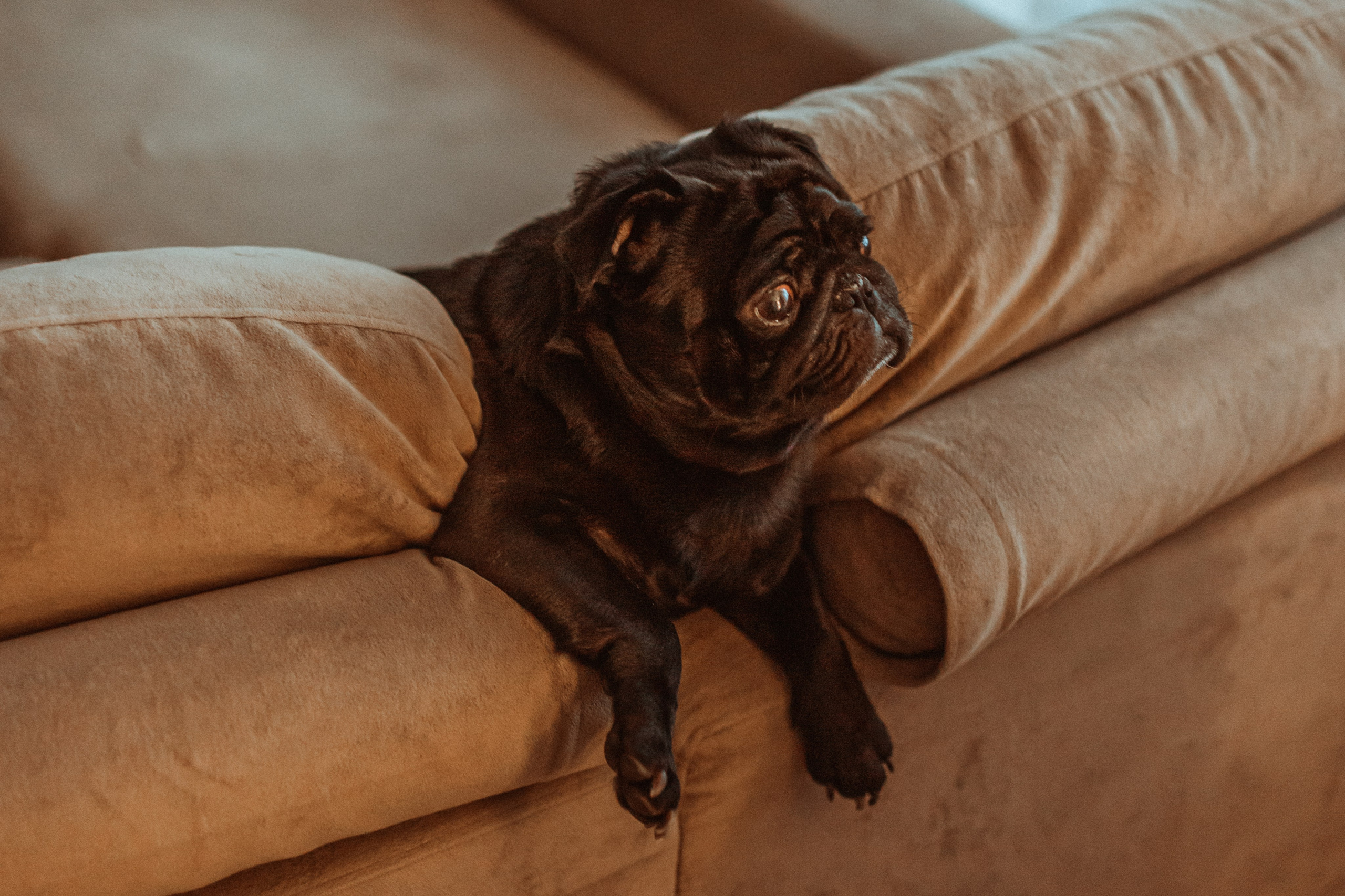 Лена, Богдан и Владимир. Семейный фотограф lifestyle в Новосибирске Елена Шпилевая