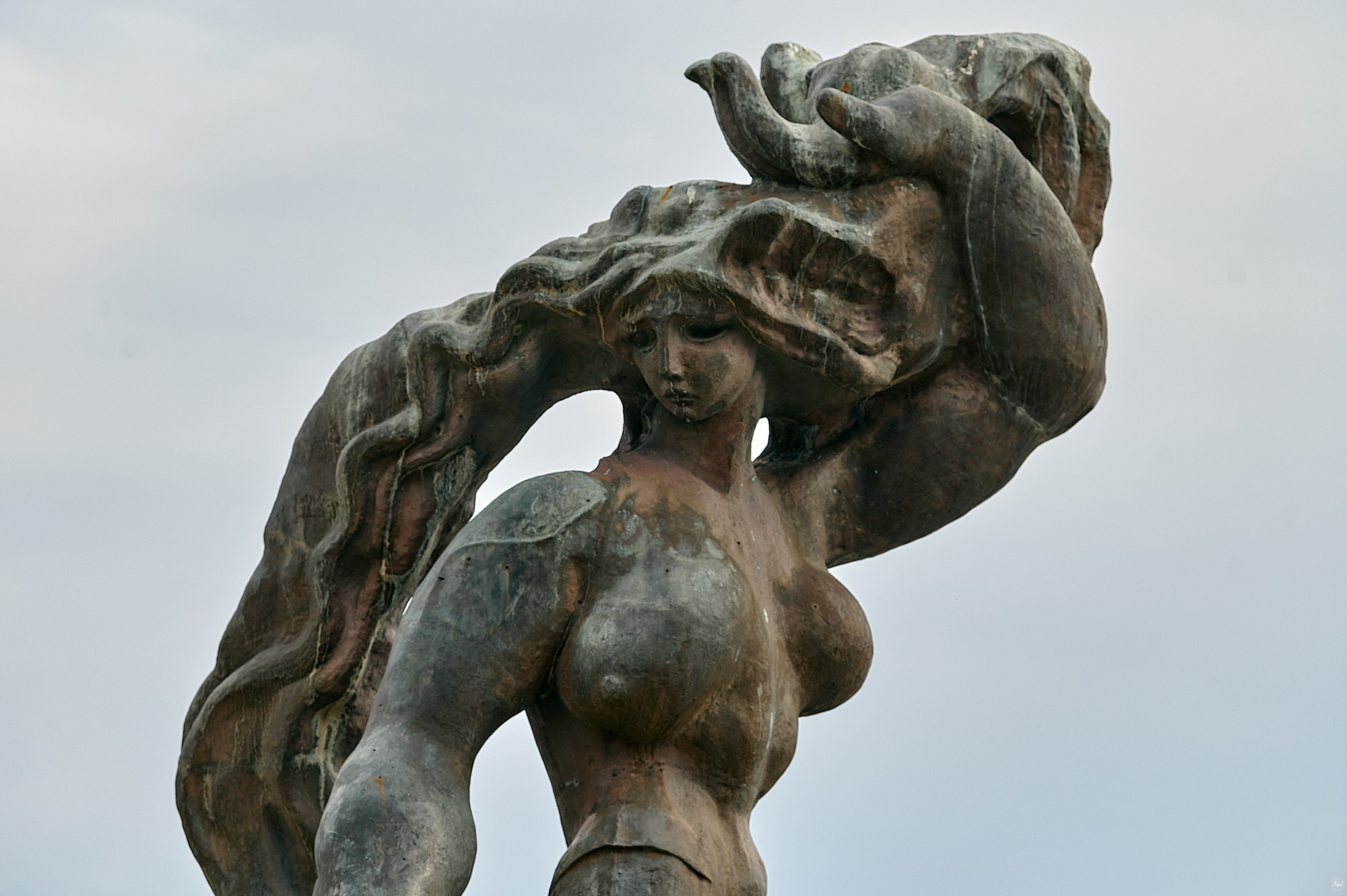 Пицунда, Абхазия. Декабрь 2024. Фотографии отовсюду и обо всем