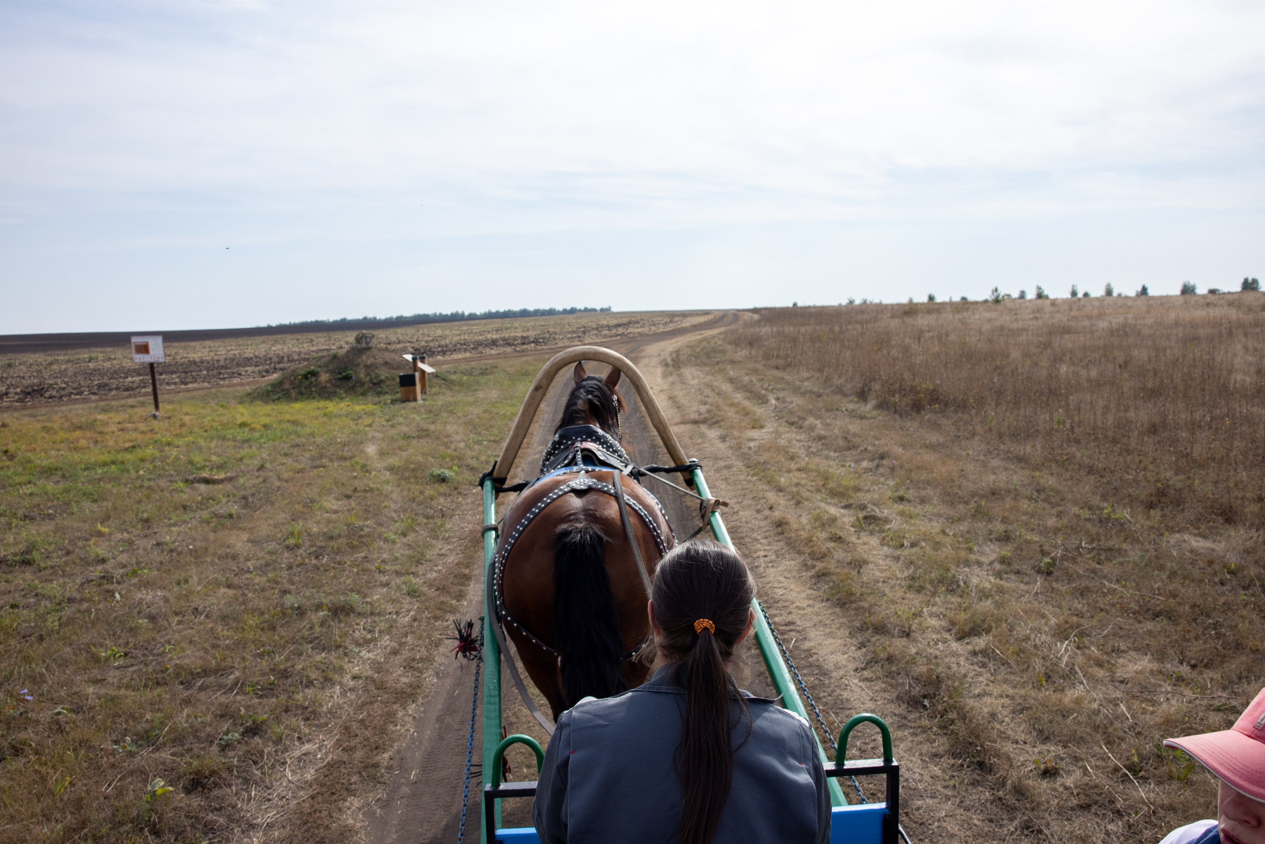 Поездка на поле Кулеково. Фотограф в Туле Крупский АнДРей. Фотостудия «КАДР71» в Туле