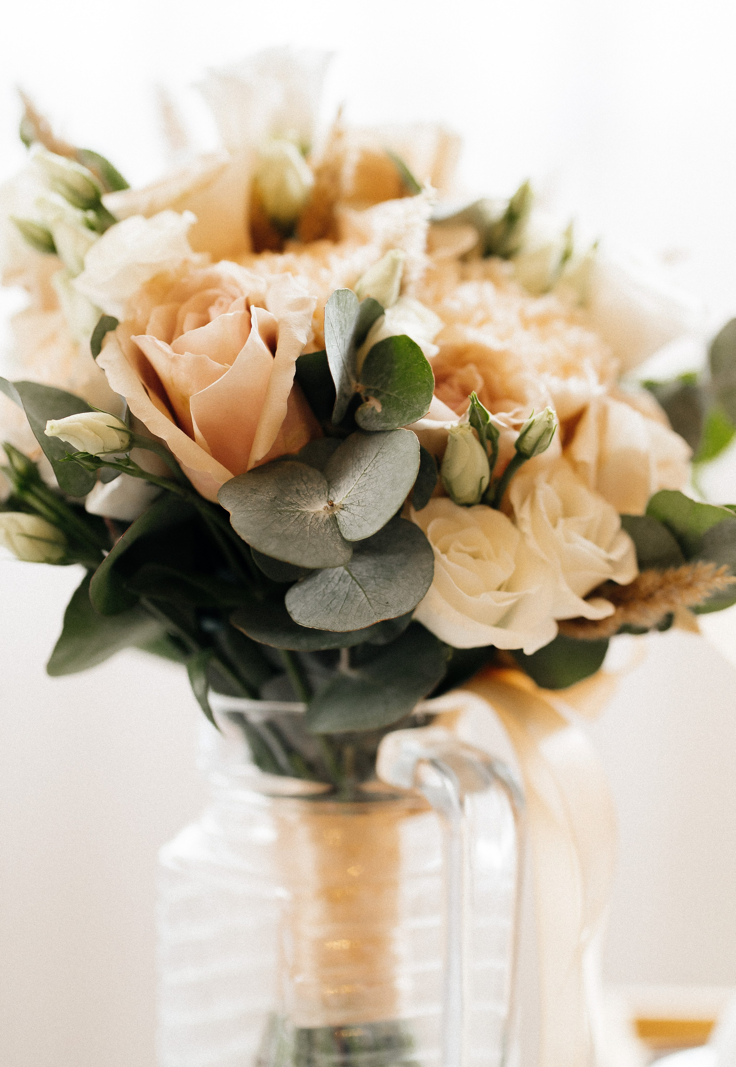 София и Даниил. Главная