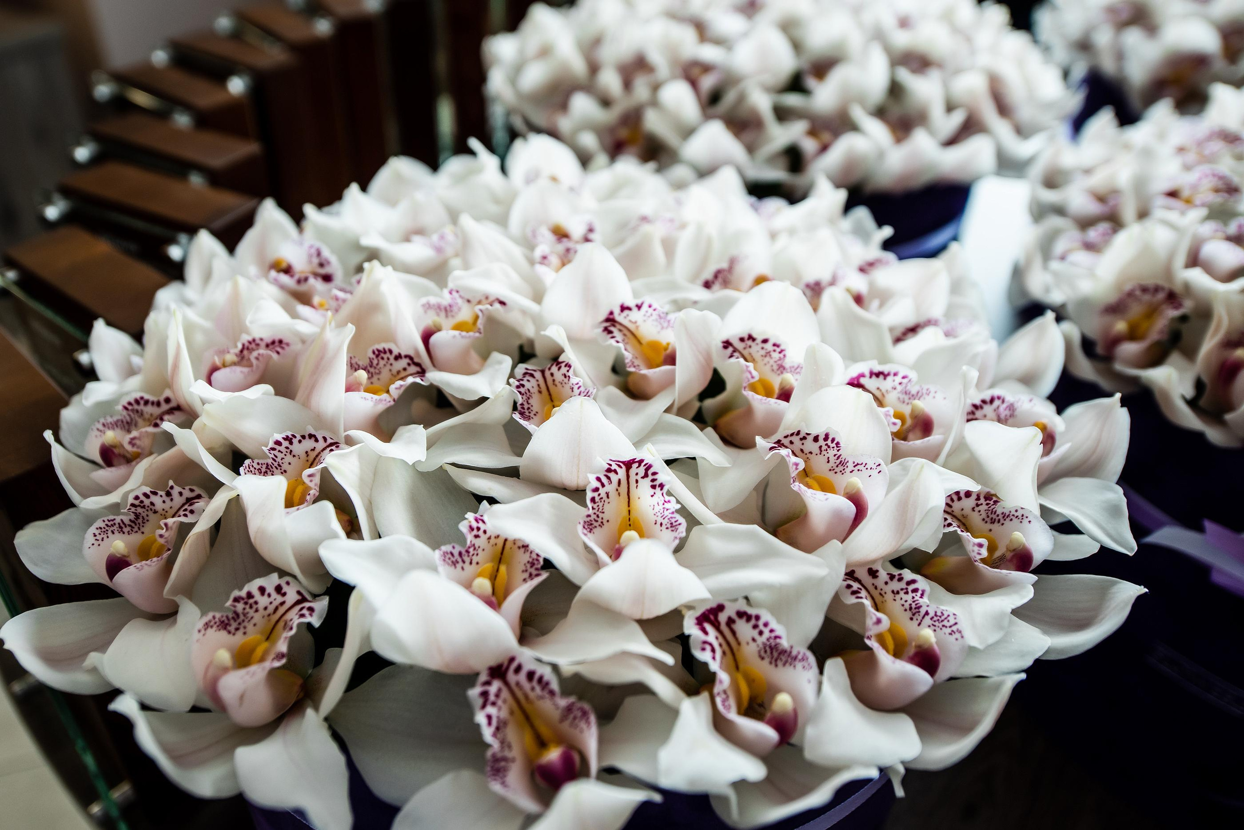 Навита Санкт-Петербург TINKOFF ARENA. Свадебный и семейный фотограф  в г.Краснодар