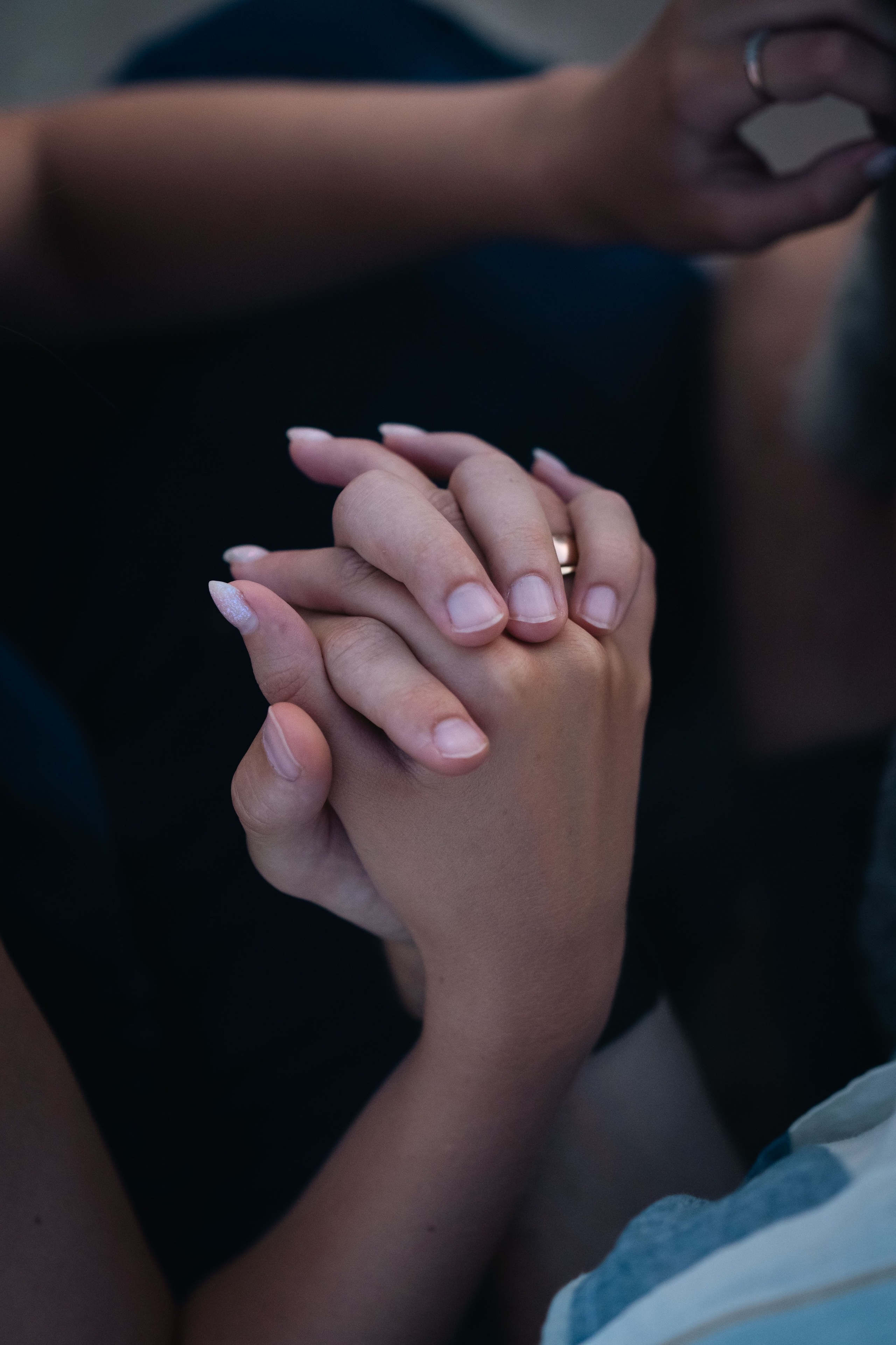 В Белграде на набережной. Фотограф анималист