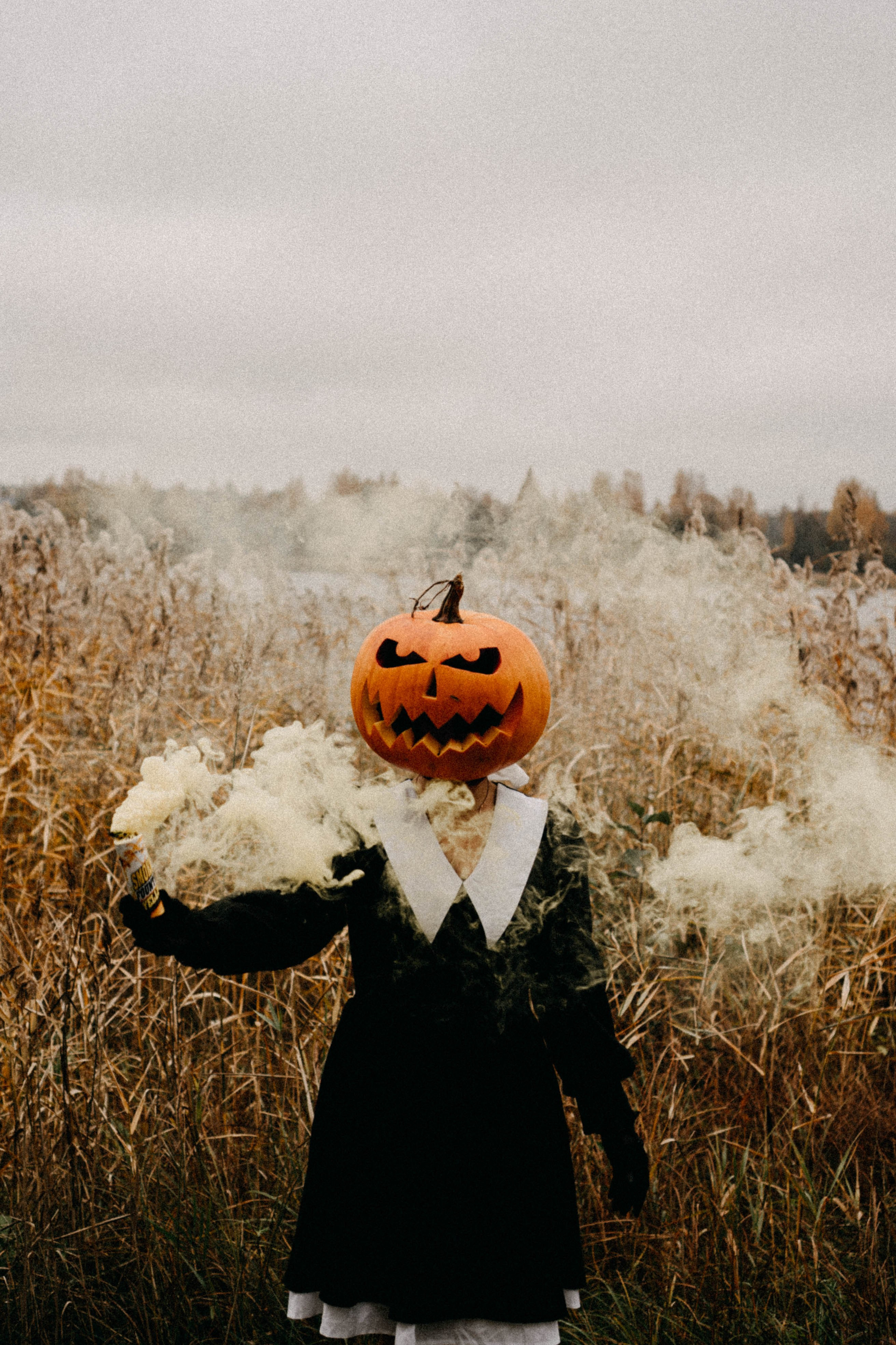 Осеняя. Профессиональный фотограф, Санкт-Петербург — Виктория Богомолова