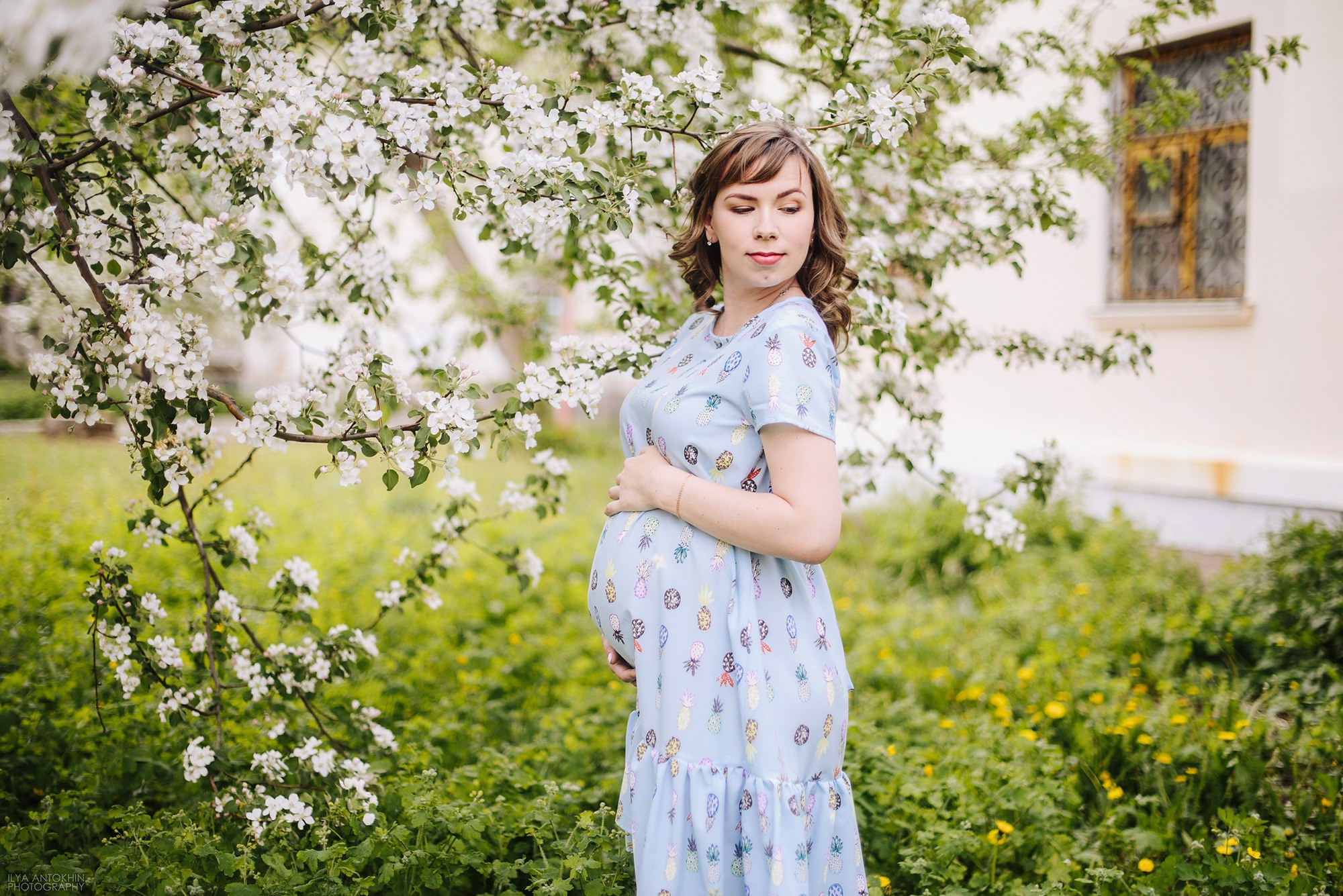 Подарочные сертификаты. Свадебный и семейный фотограф в Стерлитамаке, Салавате. Илья Антохин