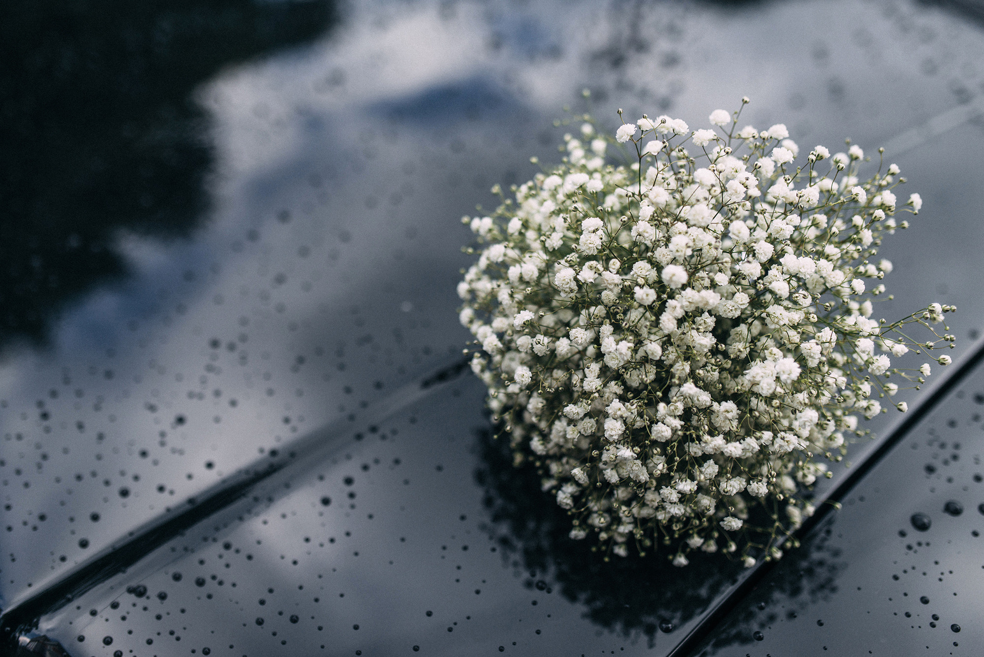 Юрий и Валерия. Свадебный и семейный фотограф в Стерлитамаке, Салавате. Илья Антохин