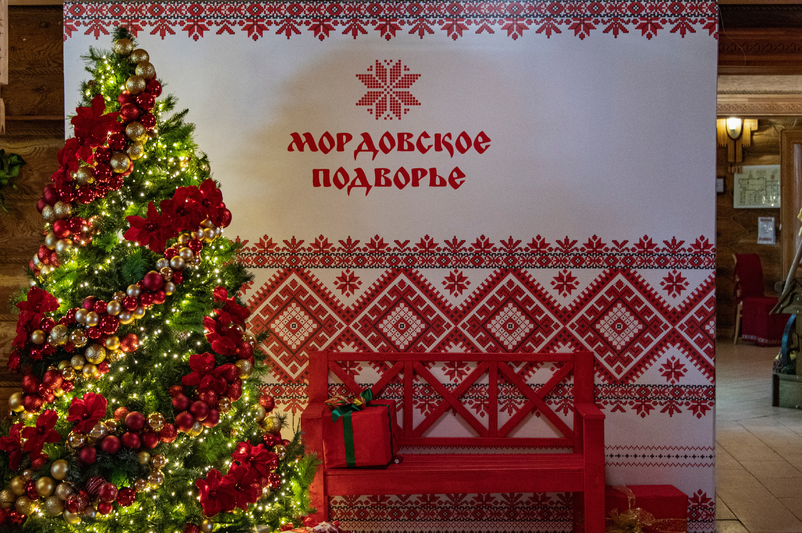 Саранск. Январь 2024. Фотограф Роман Адлер